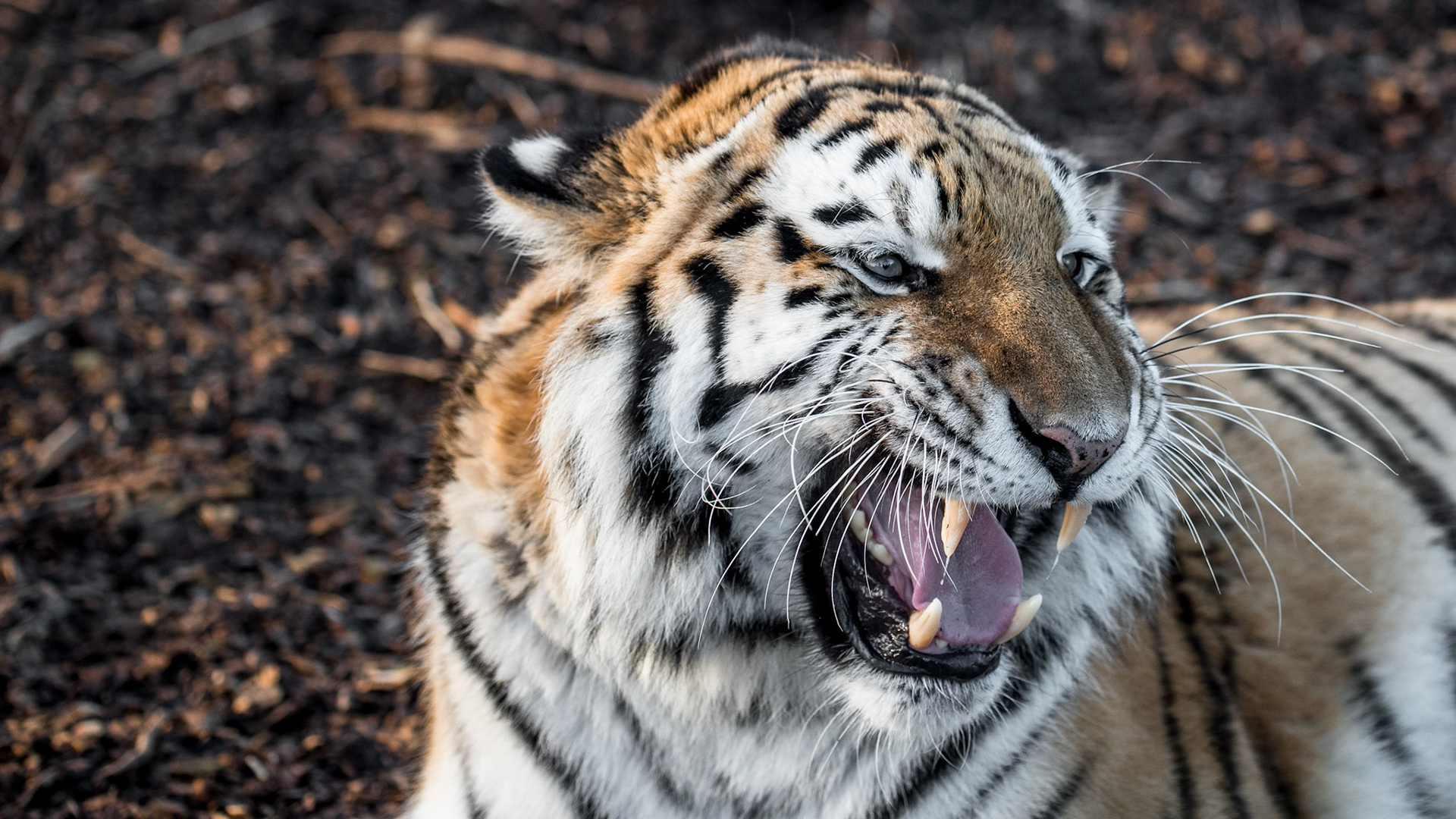 1/500 sec · f/4.0 · ISO 800 · 90 mm