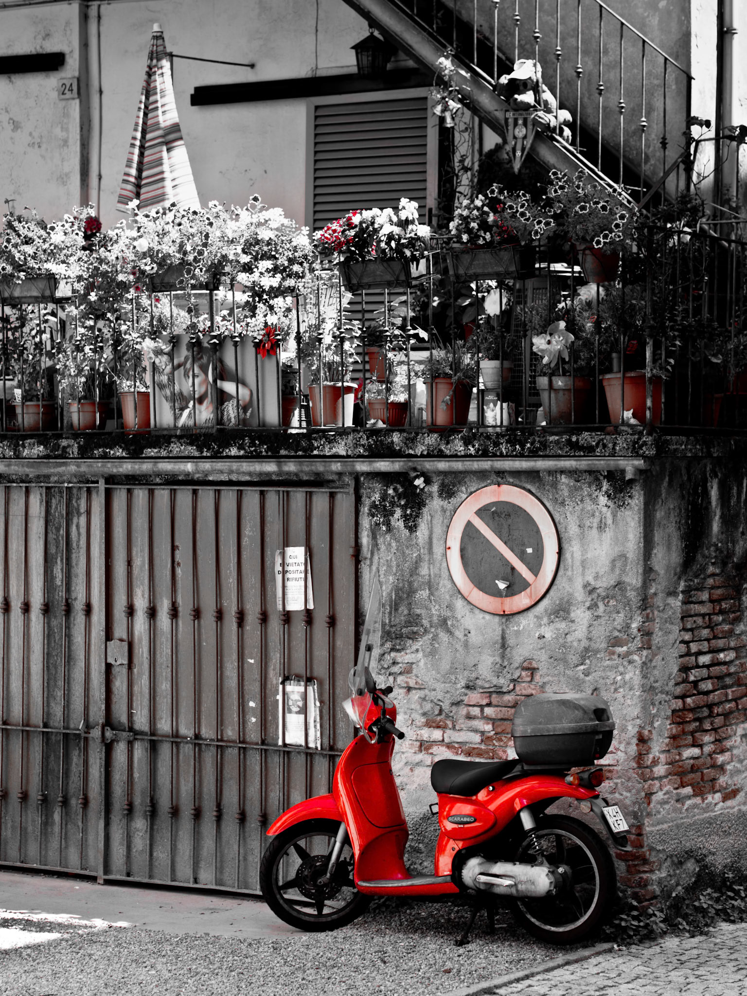 1/250 sec · f/2.8 · ISO 200 · 45 mm
