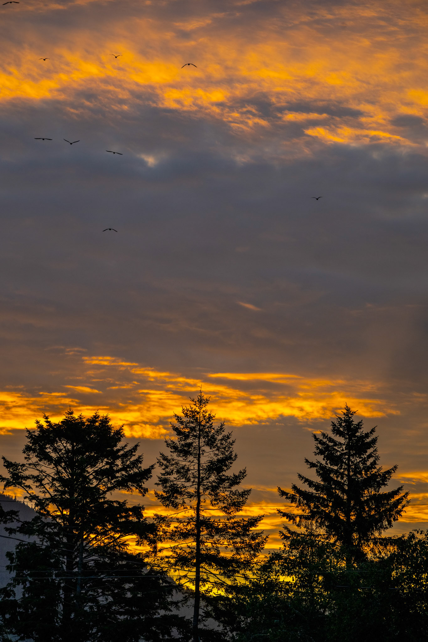 1/160 sec · f/8.0 · ISO 250 · 145 mm