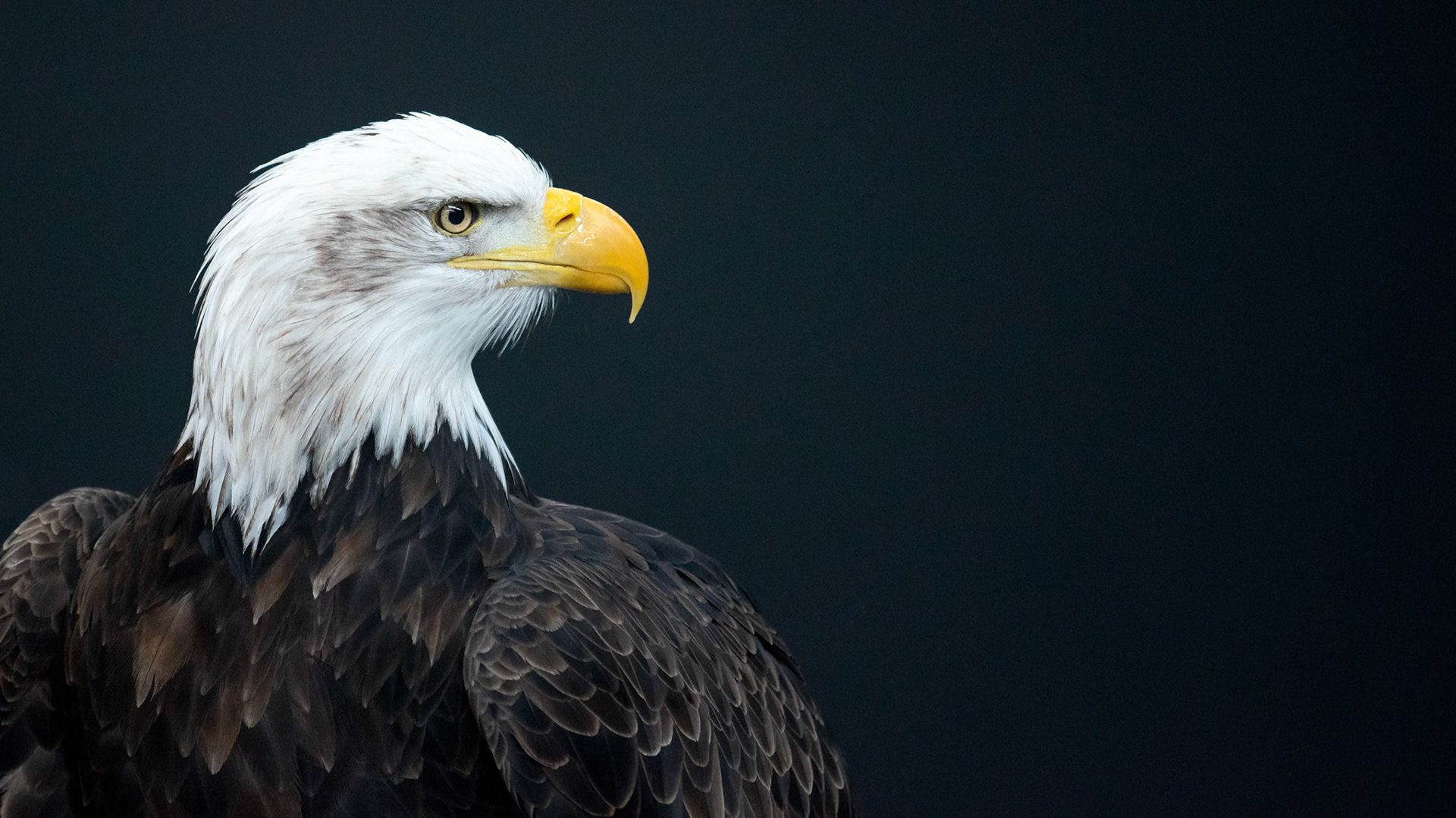 1/320 sec · f/4.0 · ISO 4000 · 200 mm