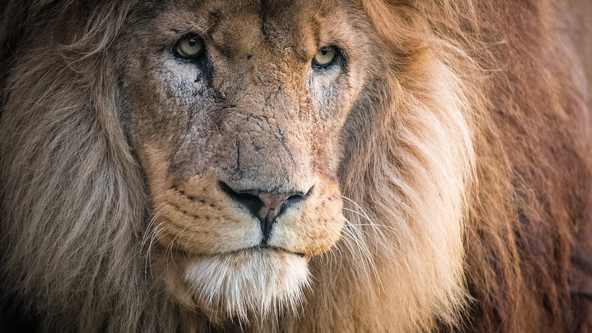 1/1250 sec · f/4.0 · ISO 7200 · 200 mm