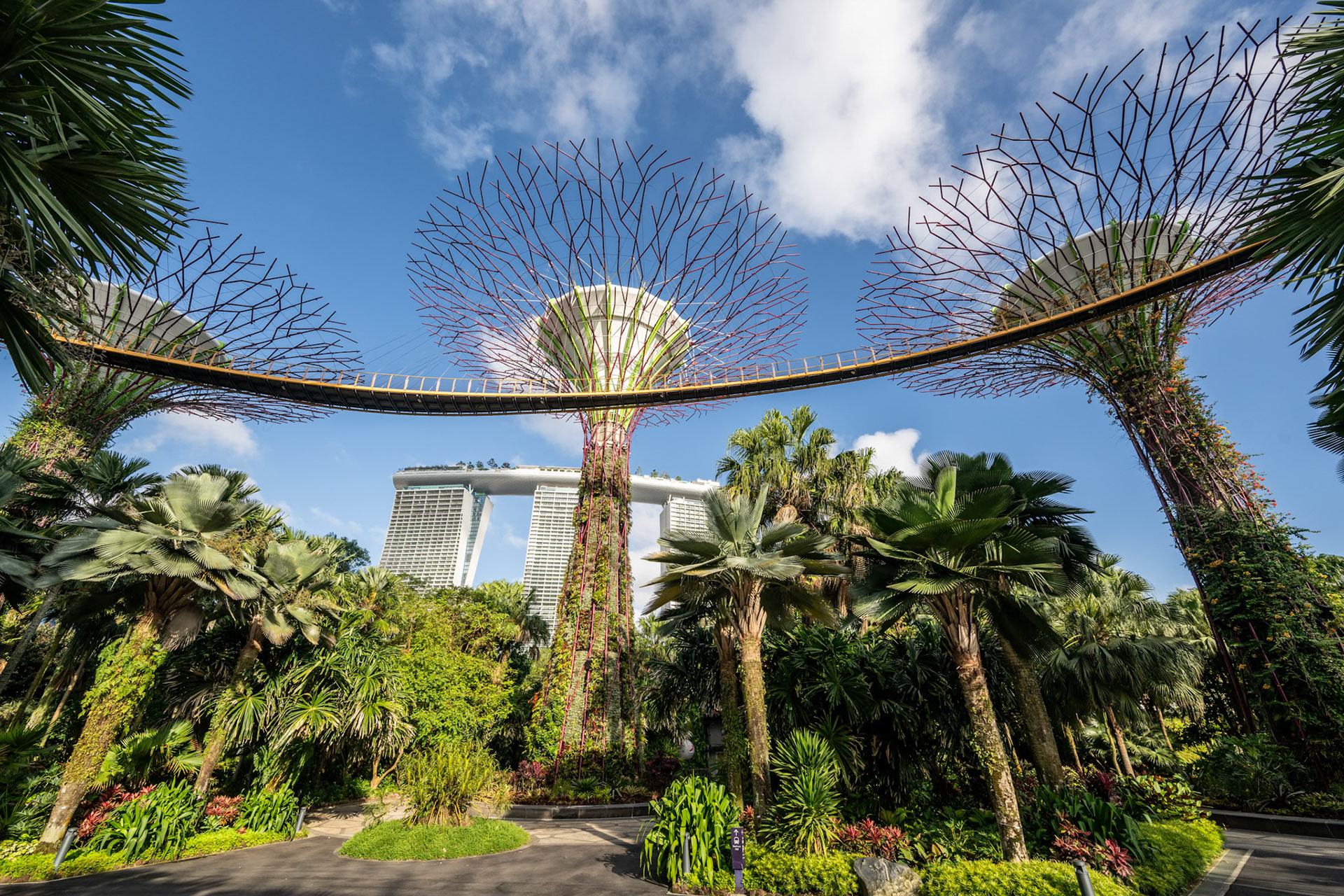 1/320 sec · f/8.0 · ISO 160 · 14 mm