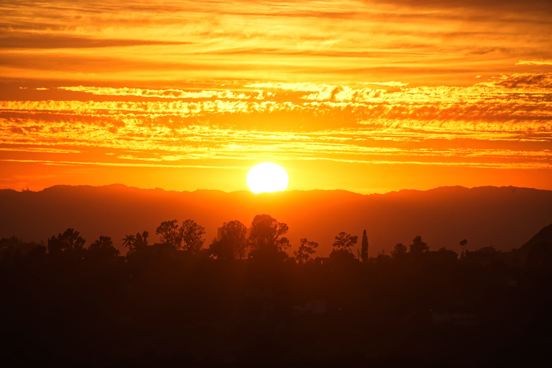 1/640 sec · f/8.0 · ISO 100 · 300 mm