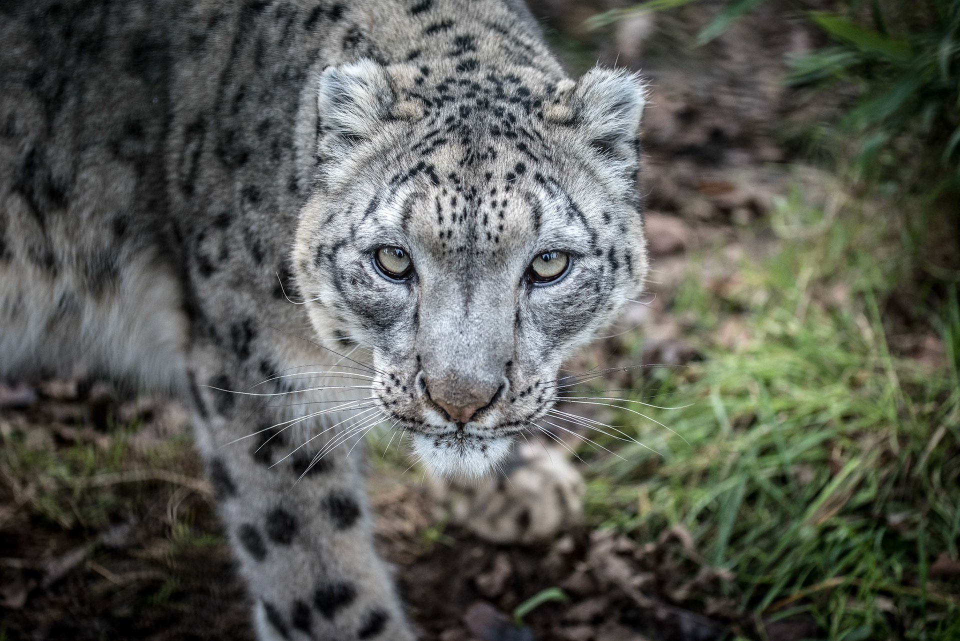 1/800 sec · f/4.0 · ISO 1400 · 70 mm