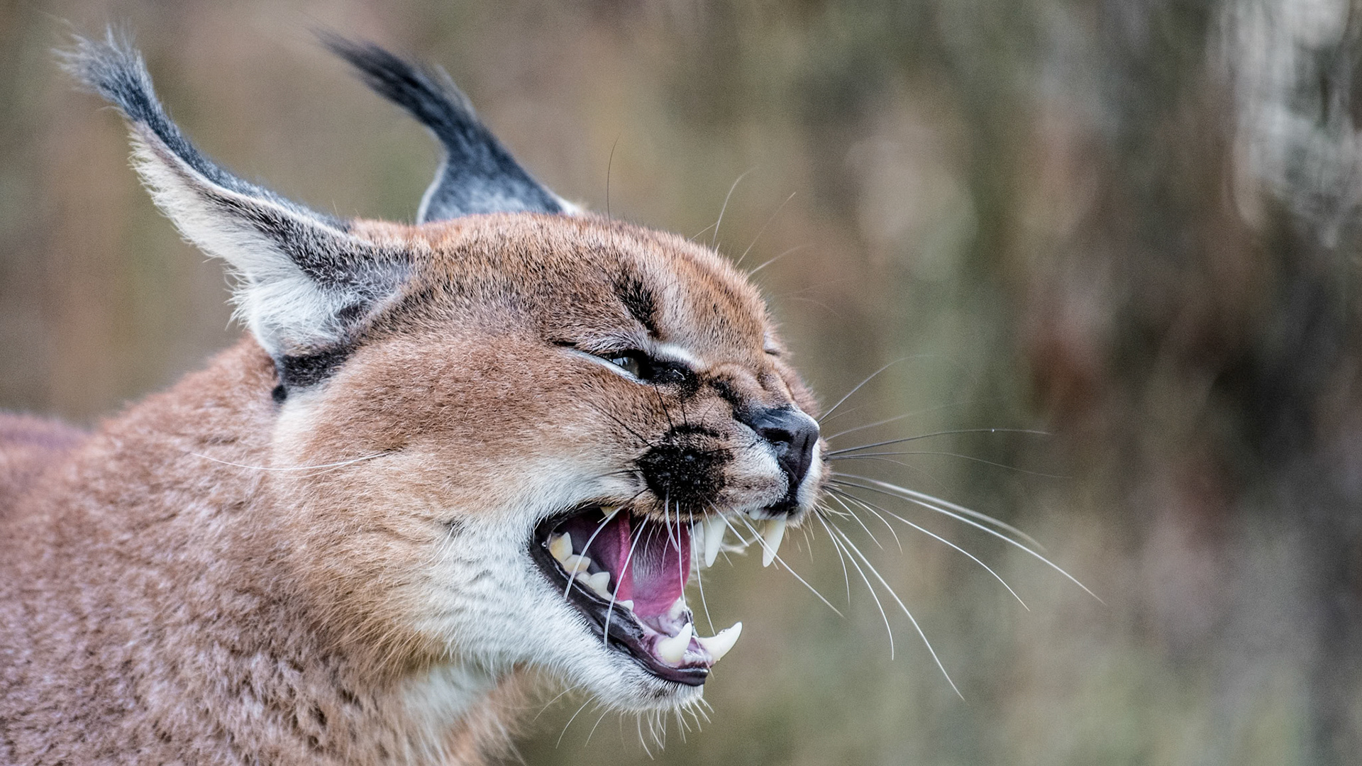 1/800 sec · f/4.0 · ISO 1800 · 200 mm