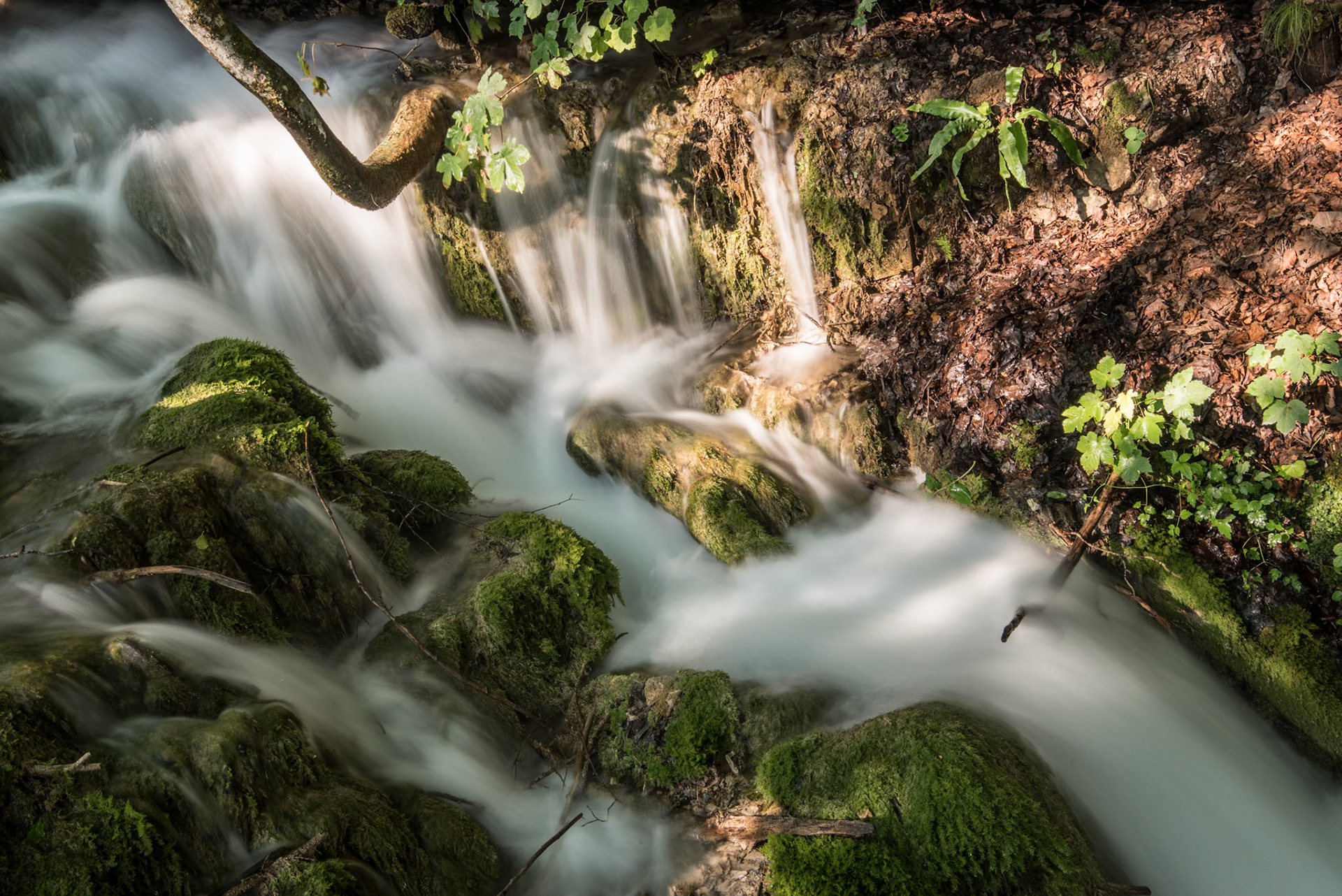 1.0 sec · f/22 · ISO 100 · 35 mm