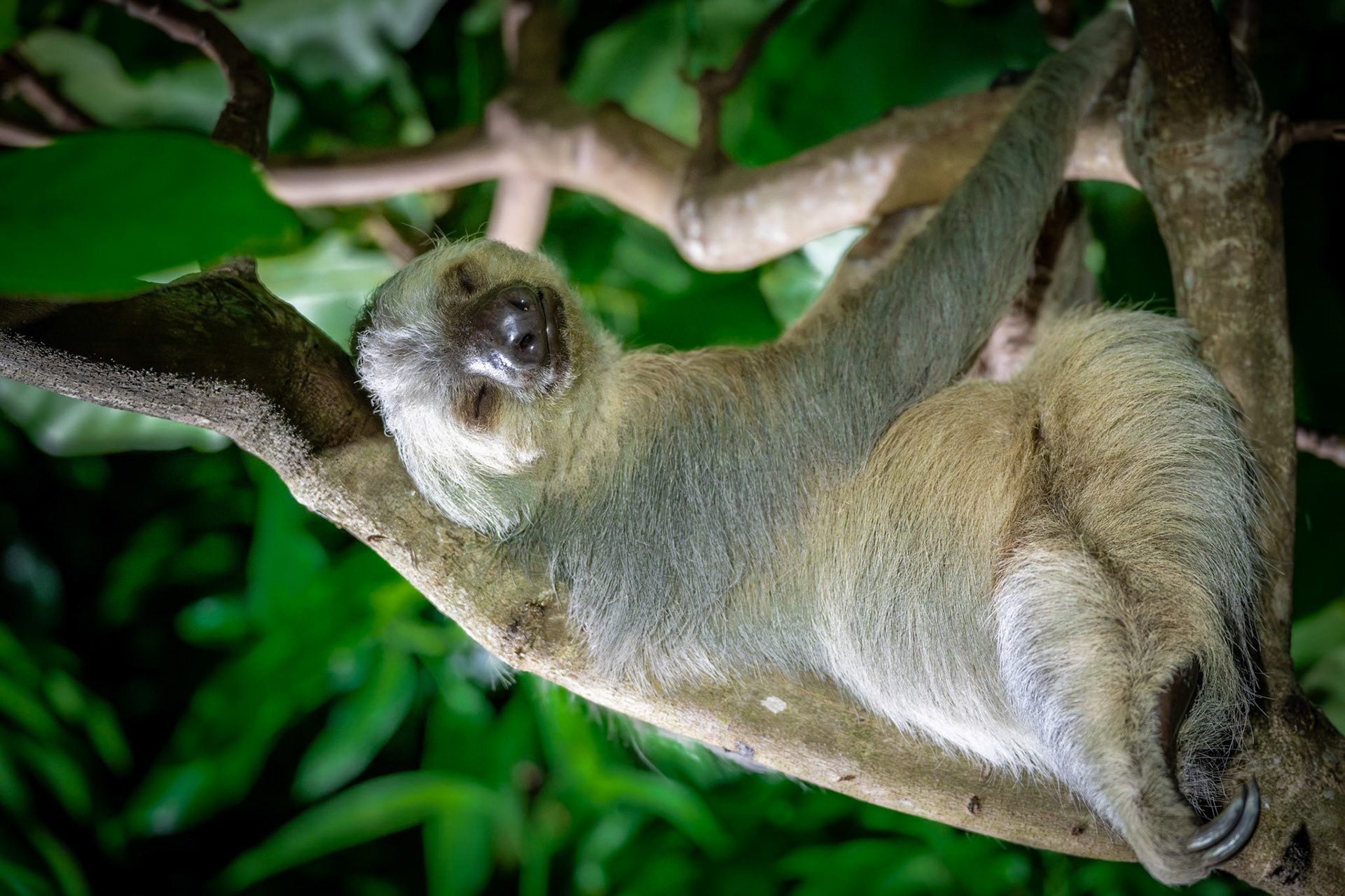 1/320 sec · f/2.8 · ISO 1600 · 85 mm