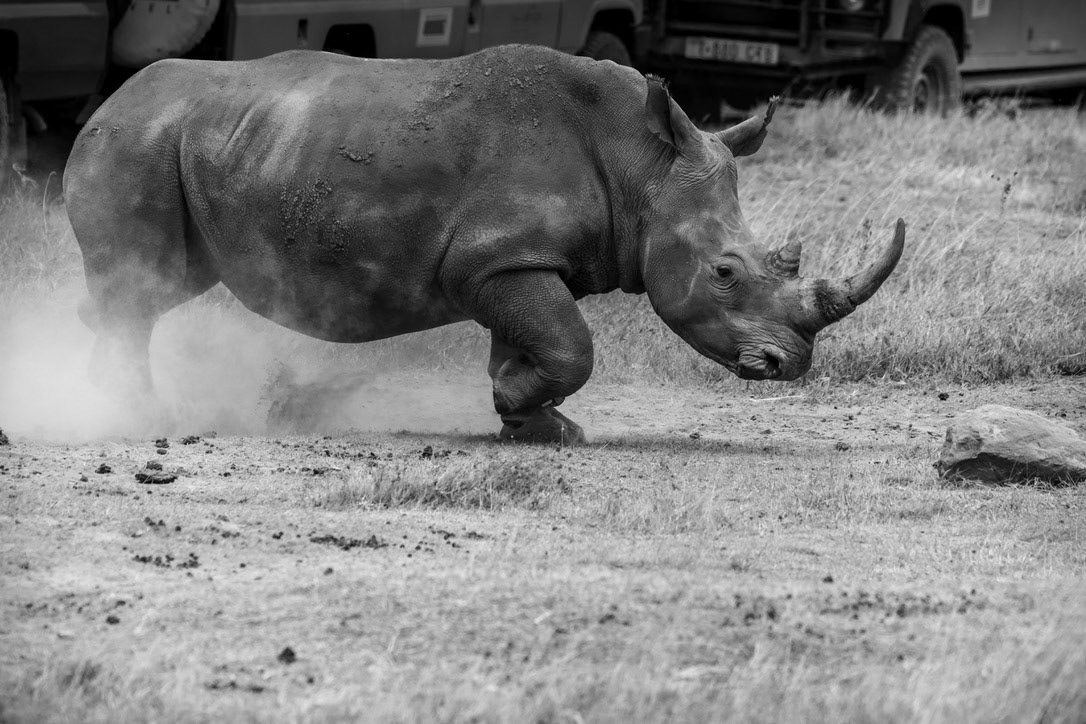 1/1600 sec · f/6.3 · ISO 640 · 410 mm