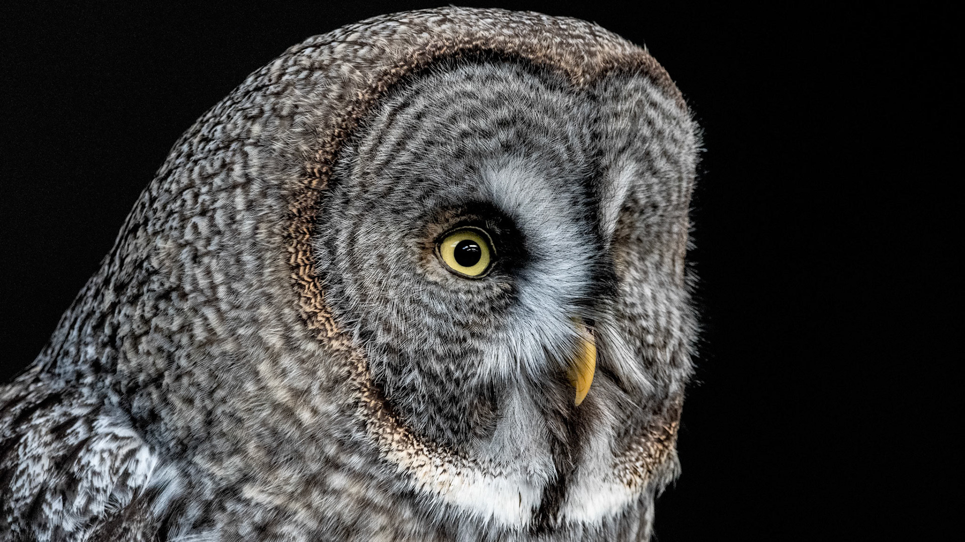 1/160 sec · f/8.0 · ISO 6400 · 440 mm