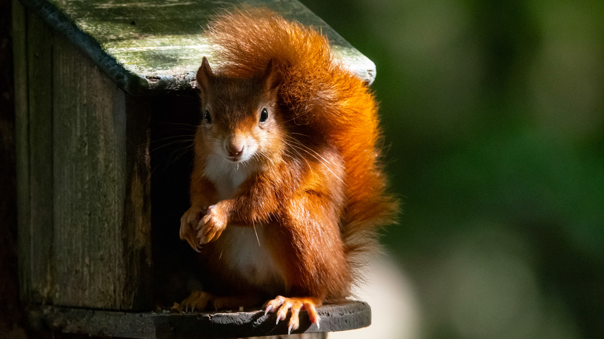 1/800 sec · f/6.3 · ISO 6400 · 600 mm