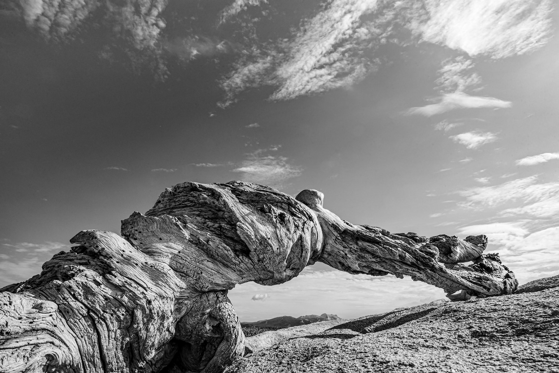 1/125 sec · f/22 · ISO 250 · 16 mm
