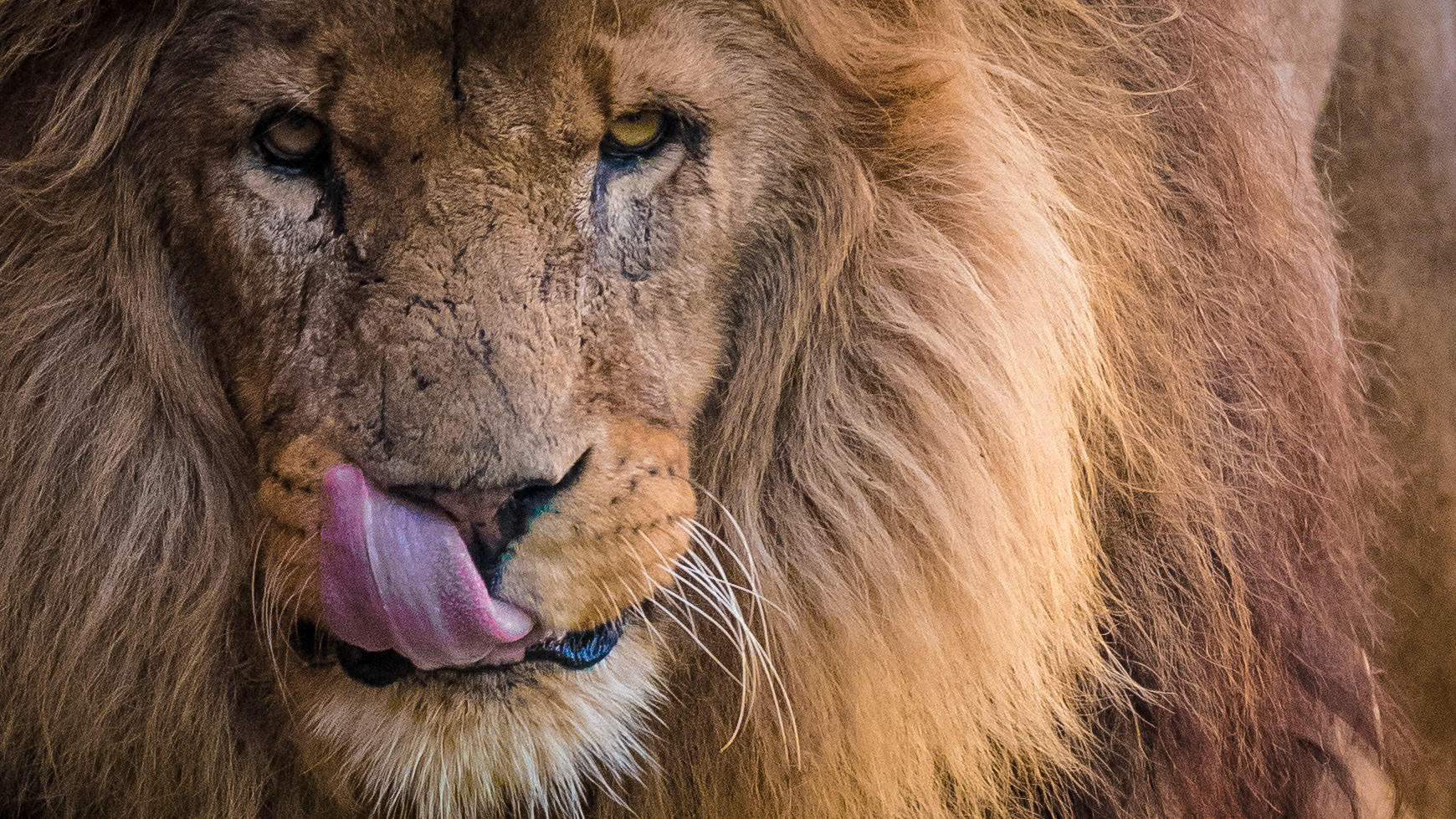 1/1250 sec · f/4.0 · ISO 5600 · 200 mm