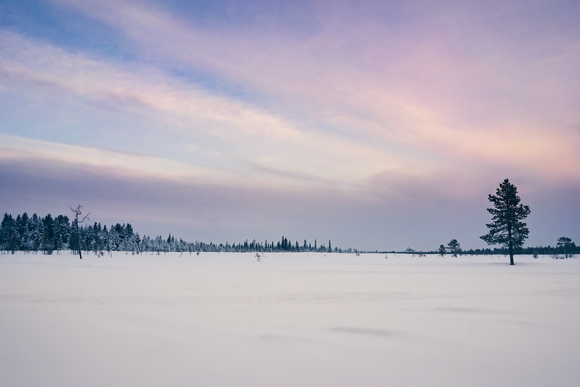 Lapland scenery near Levi