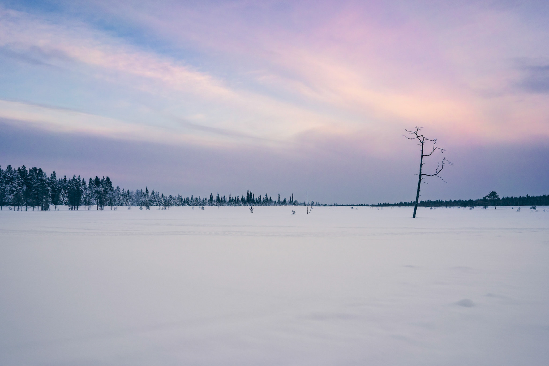 Lapland scenery near Levi