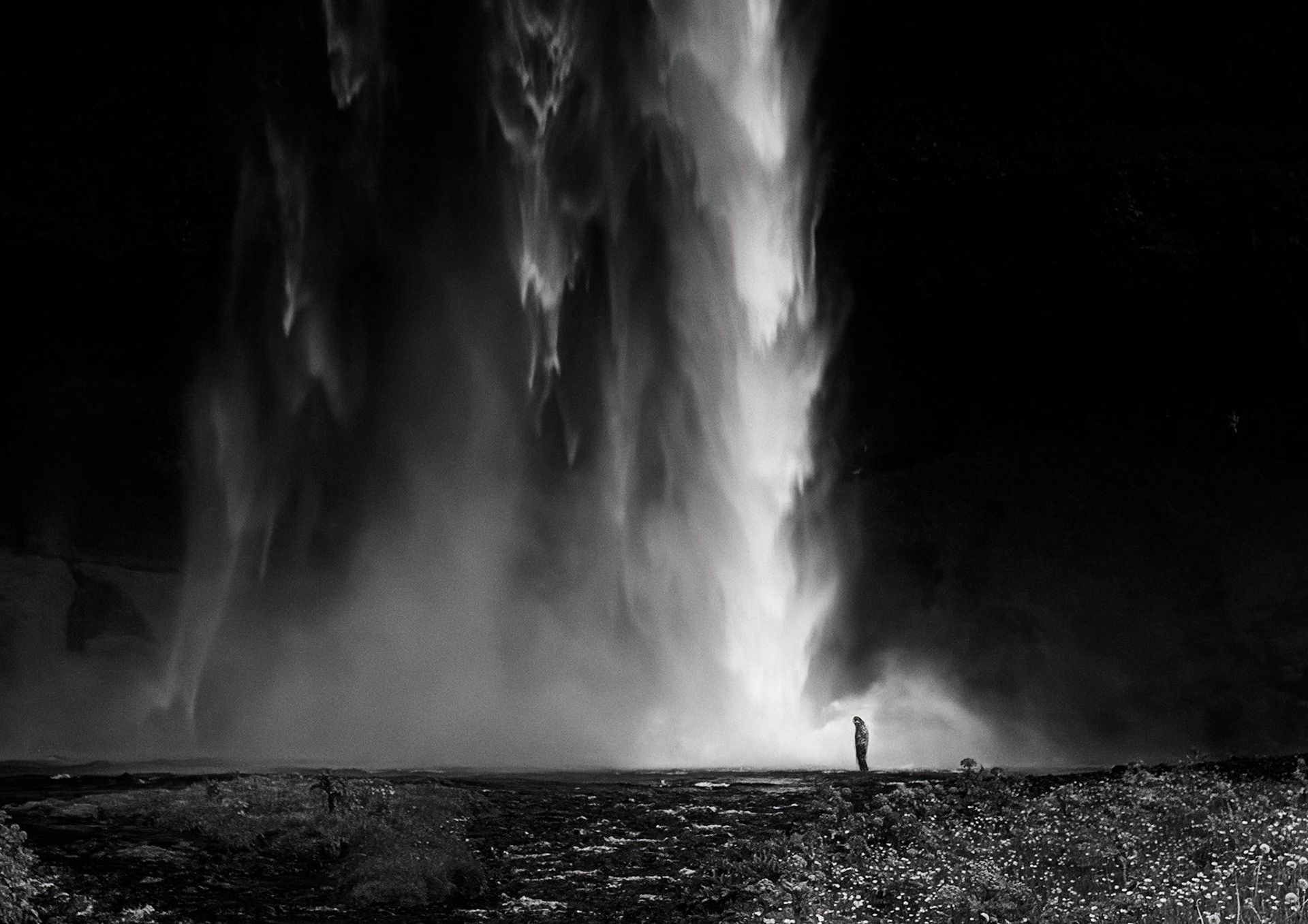 Seljalandsfoss in b&w
