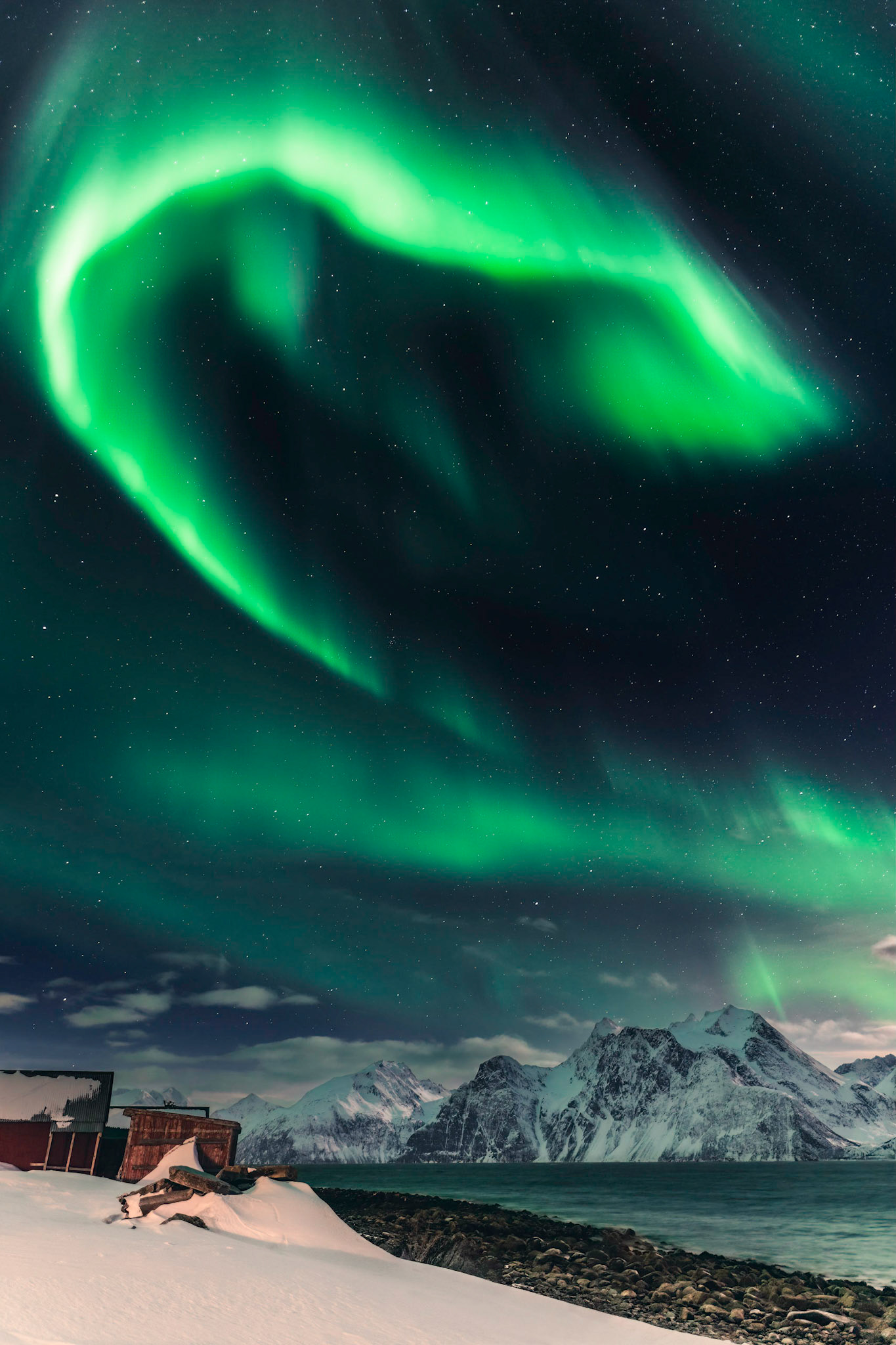 Lights dancing above the Lyngen Alps