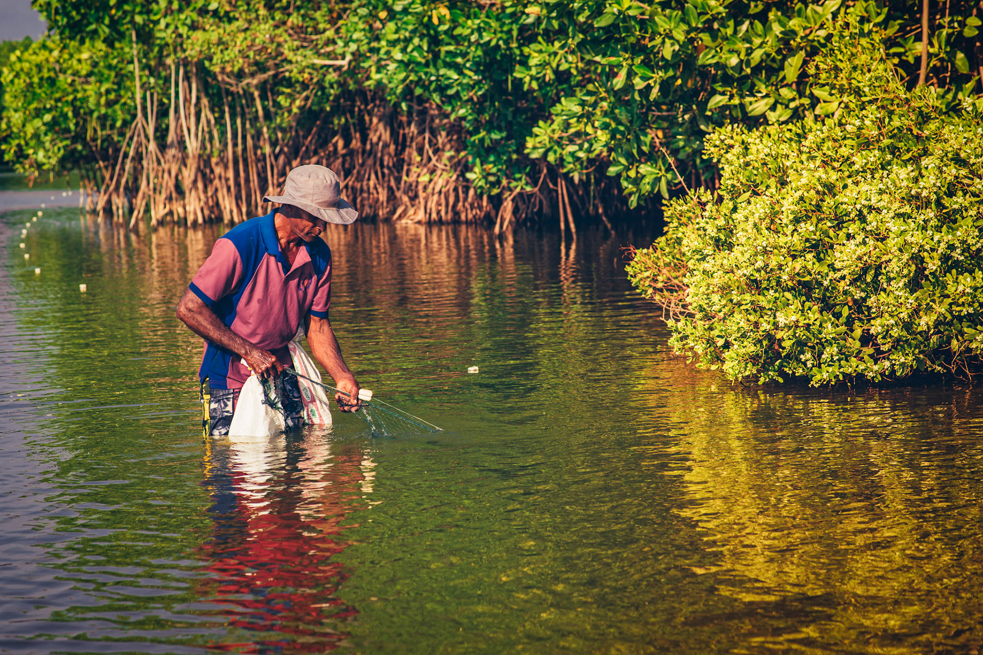 Fishing amongst the crocodiles