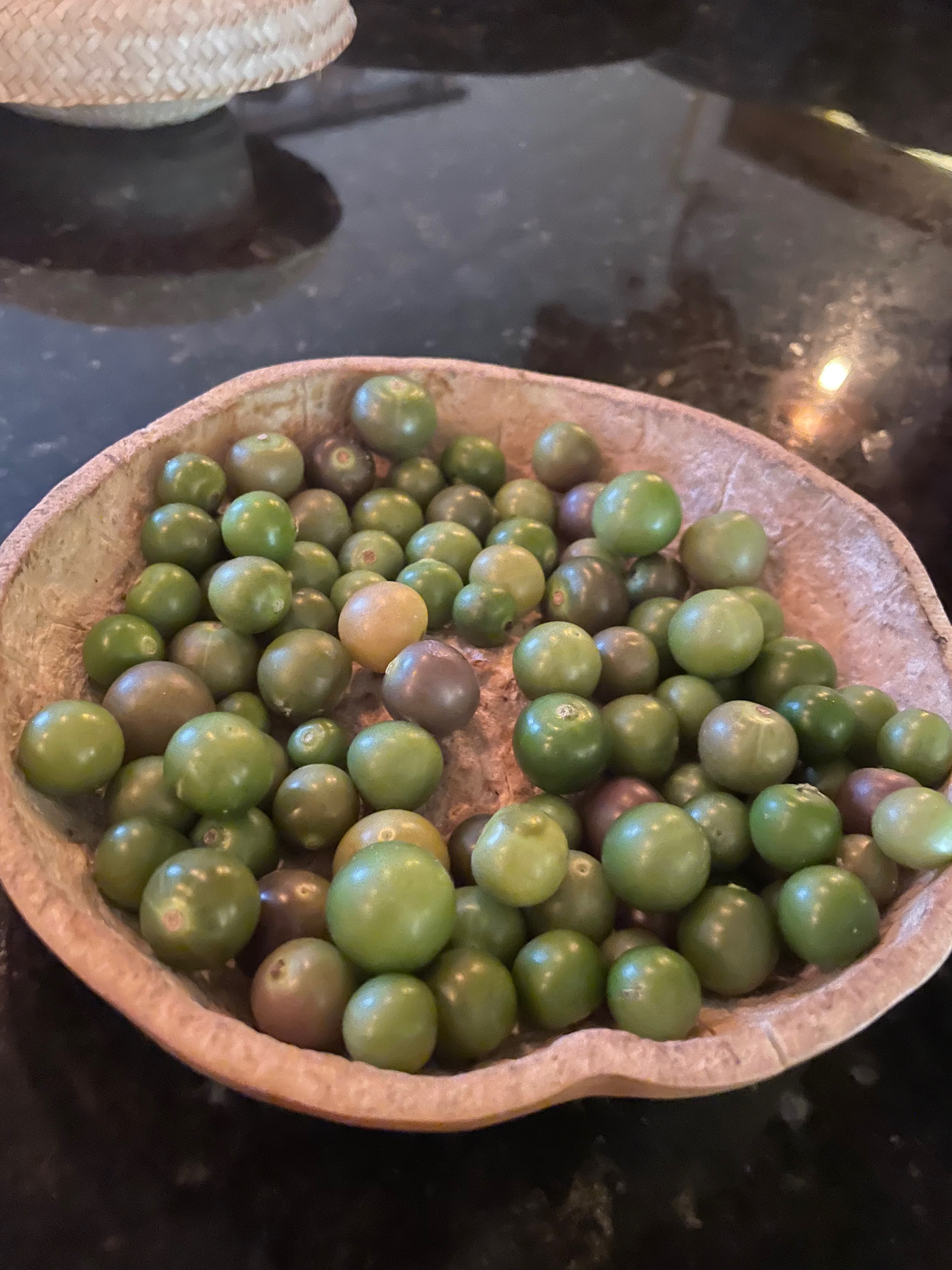 Wild tomatillos.
