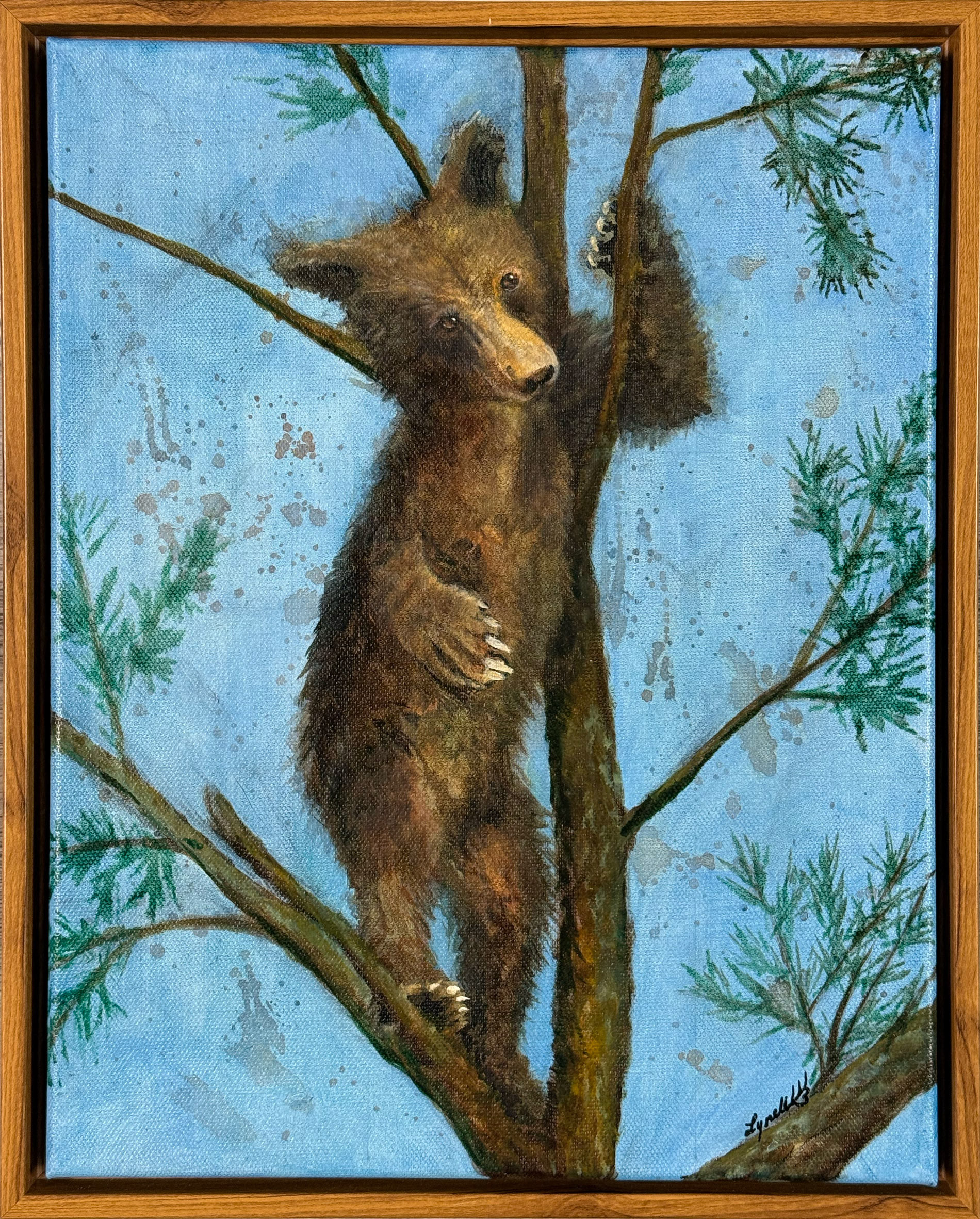 Baby Wild Bear 11x14 $154