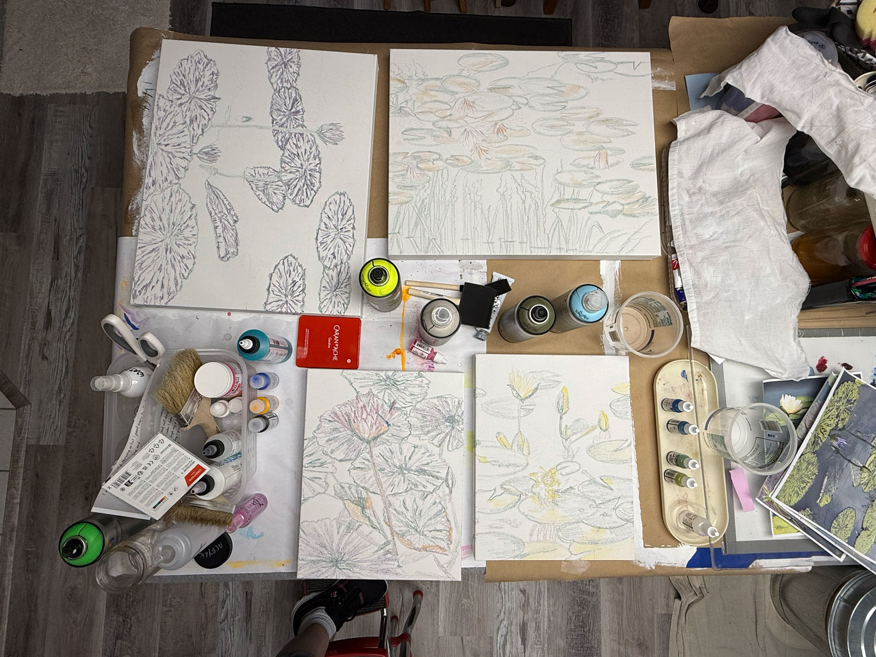 Caran d'Ache Crayon drawings