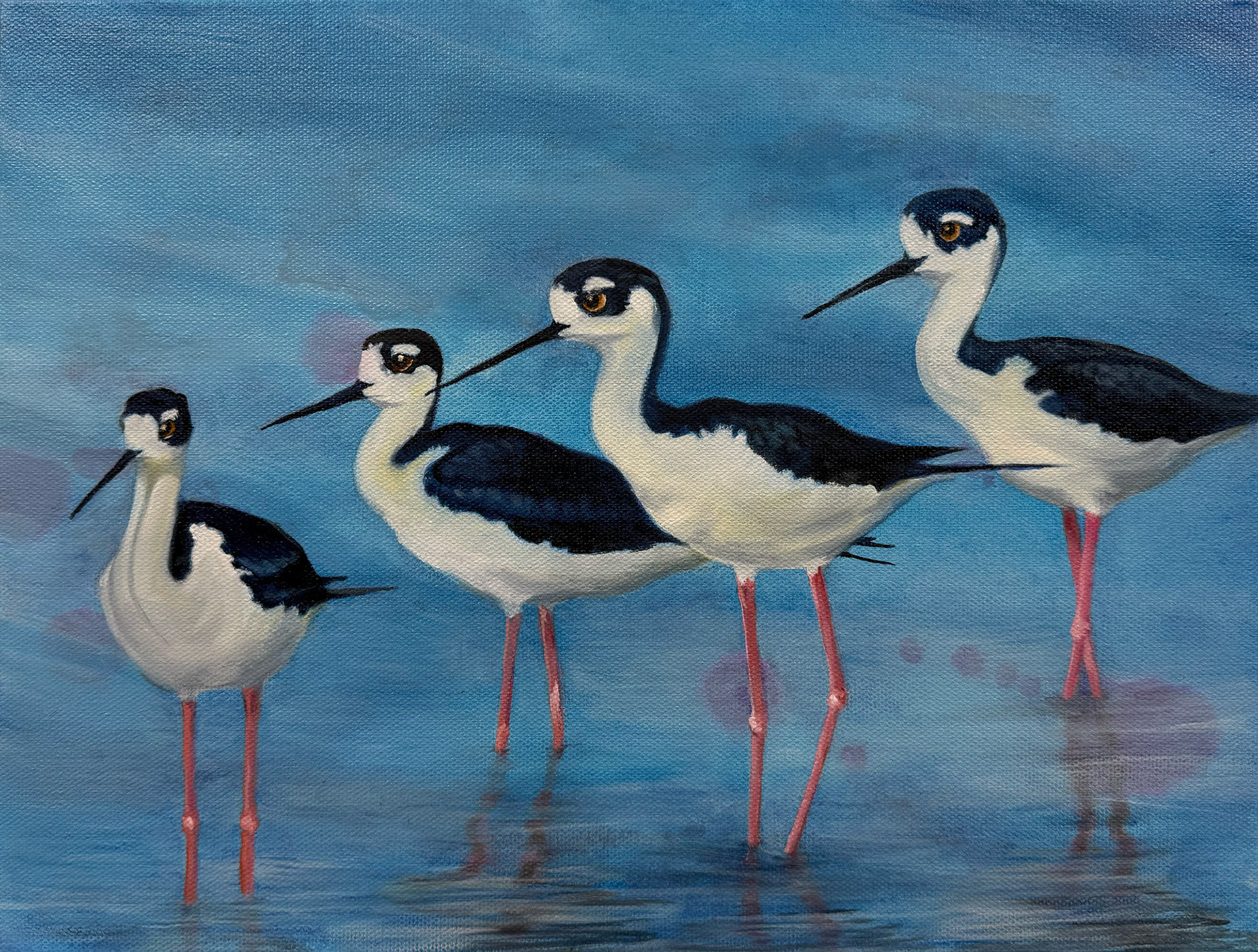 11x14 Black Neck Stilts - Gallery Canvas