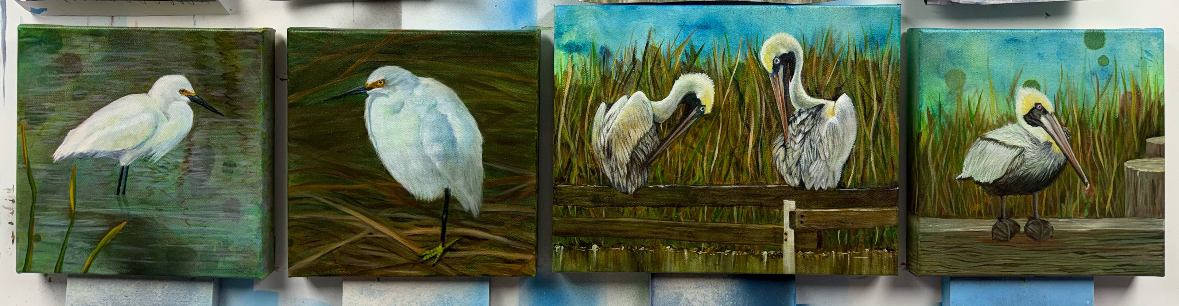 Snowy Egret Wader & Snowy Egret Weeds. | Pair of Brown Pelicans & Pelican on the Edge / 10x10 squares are $100 and the 11x14 pictures are $154.