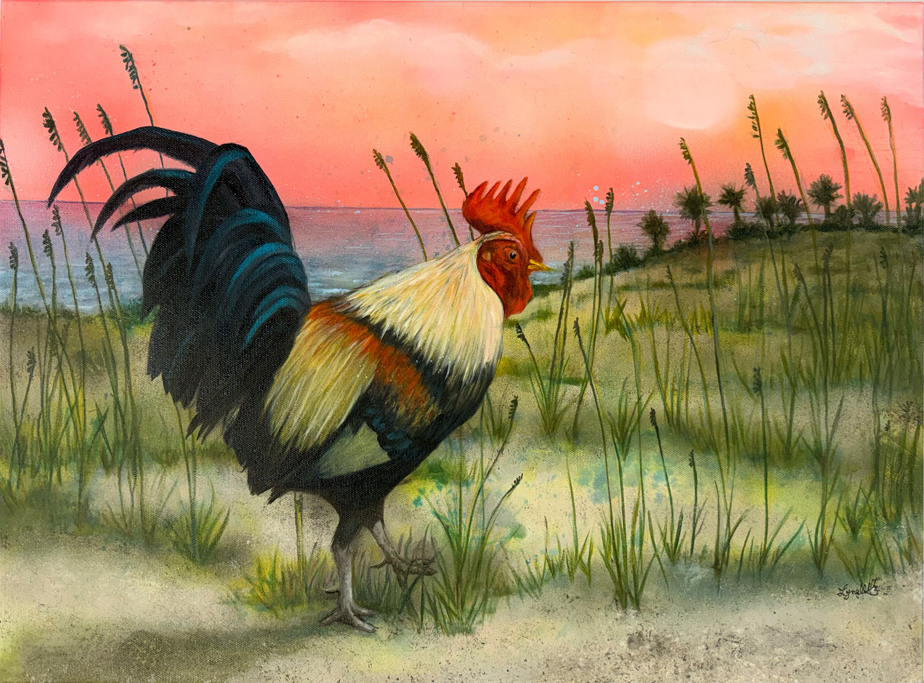 Rooster Paradise 9x12 prints available