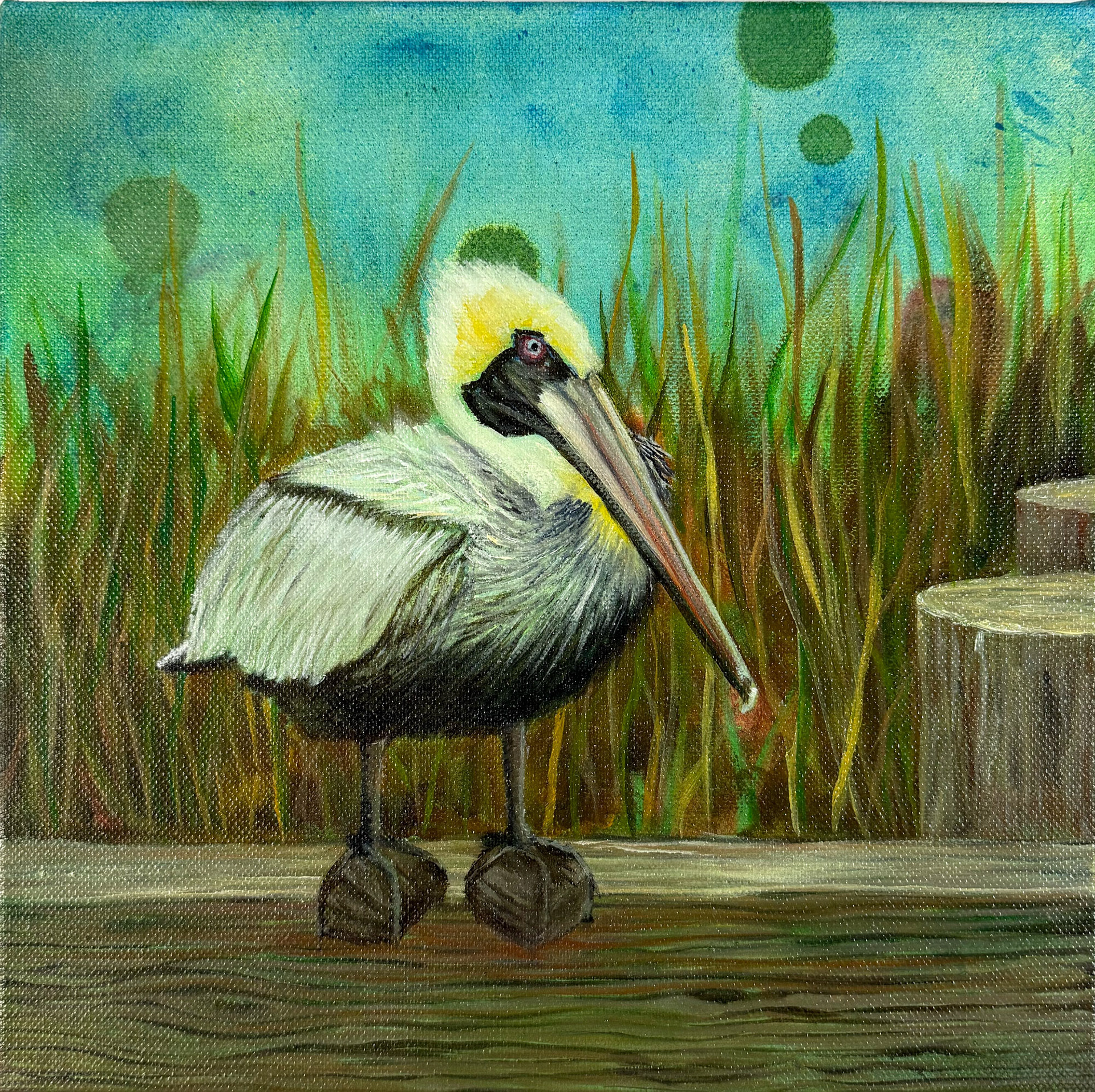 Pelican on the Edge 10x10 $100