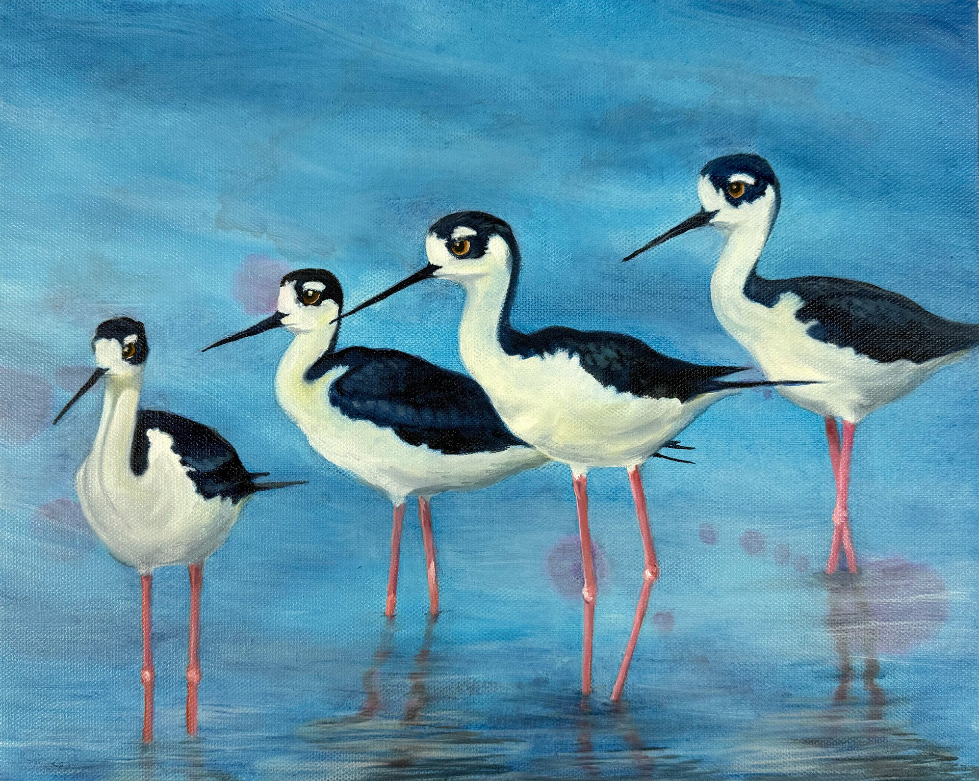 Black-Necked Stilt Four Brothers 14x11 $154