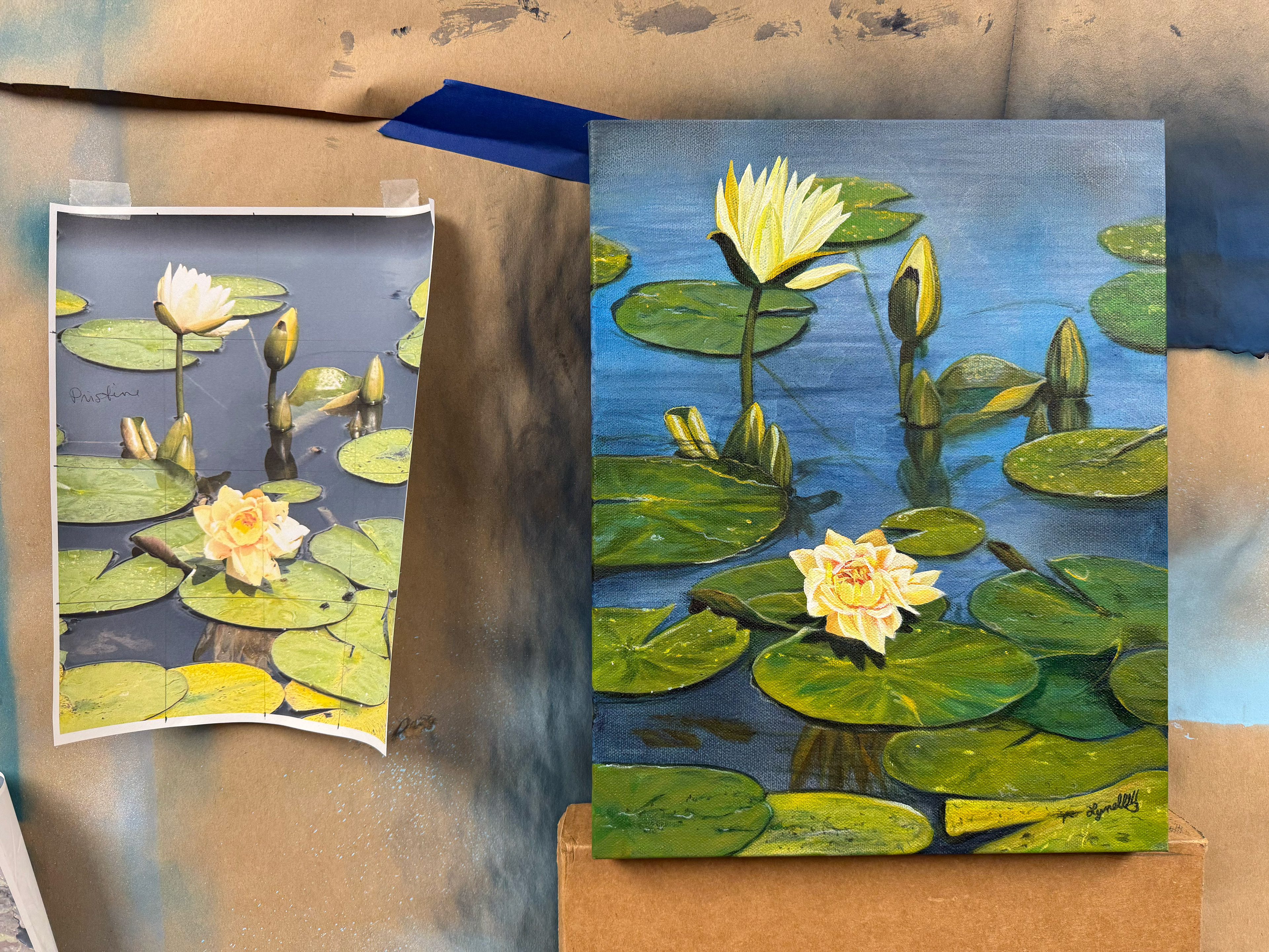 One of Four Water Lilies - Source from Powell Gardens