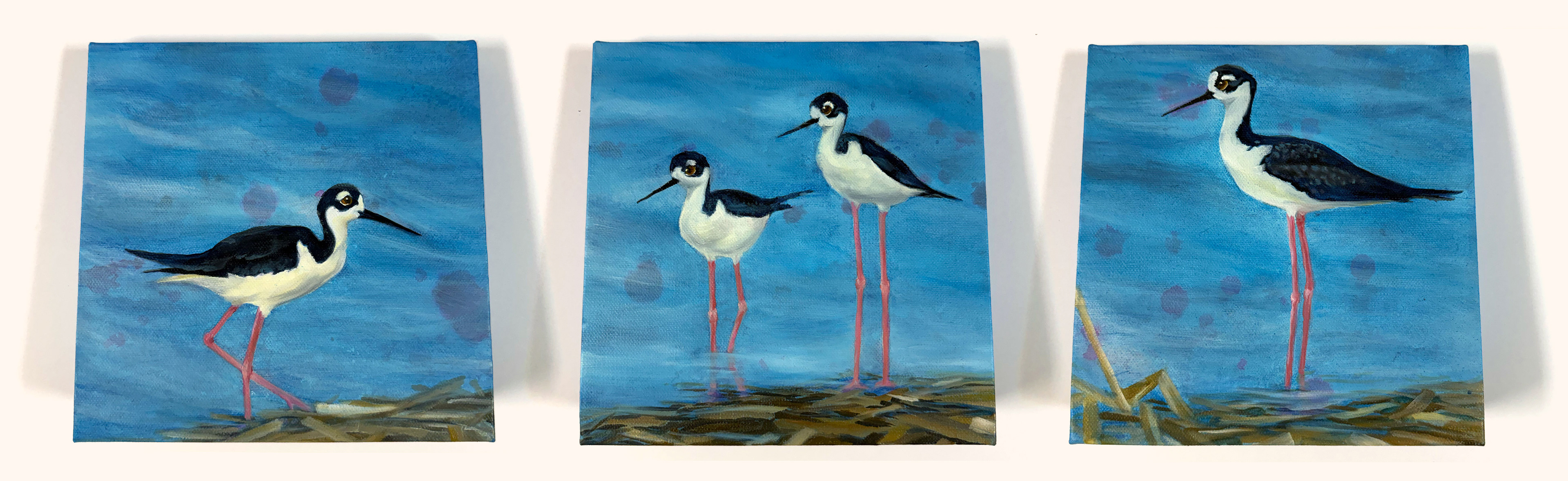 Black-Necked Stilt Trio - 1-2-3 are meant to be together on a shelf or wall.  8" Wedge Canvas $200 for the Trio
