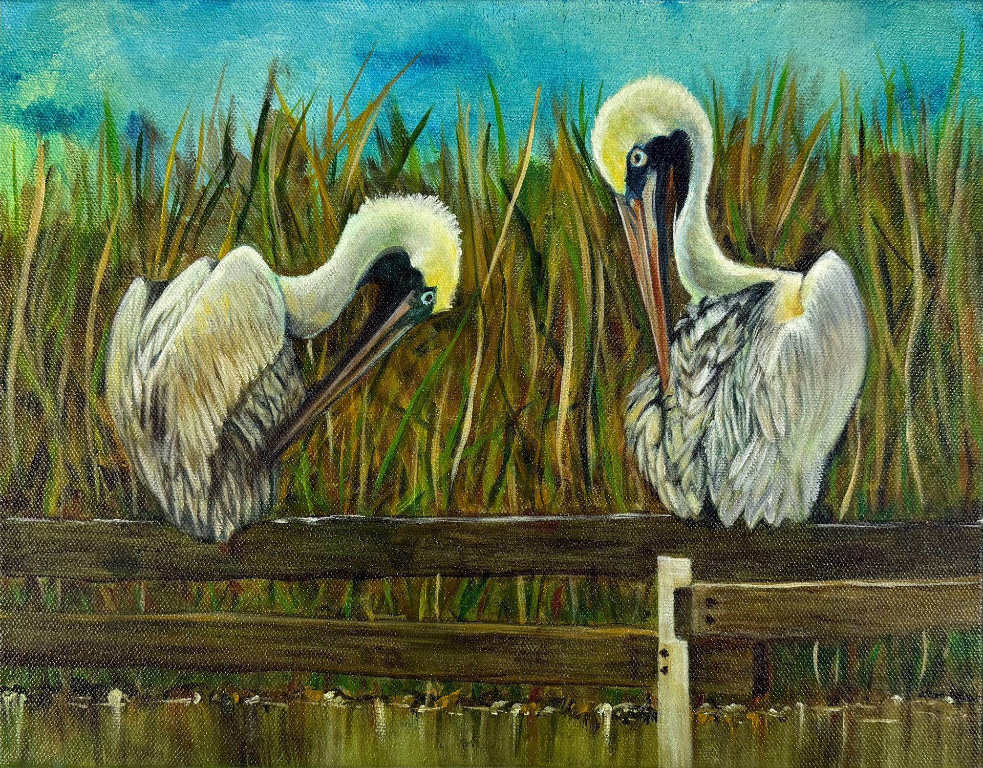 Pair of Brown Pelicans 11x14 $154