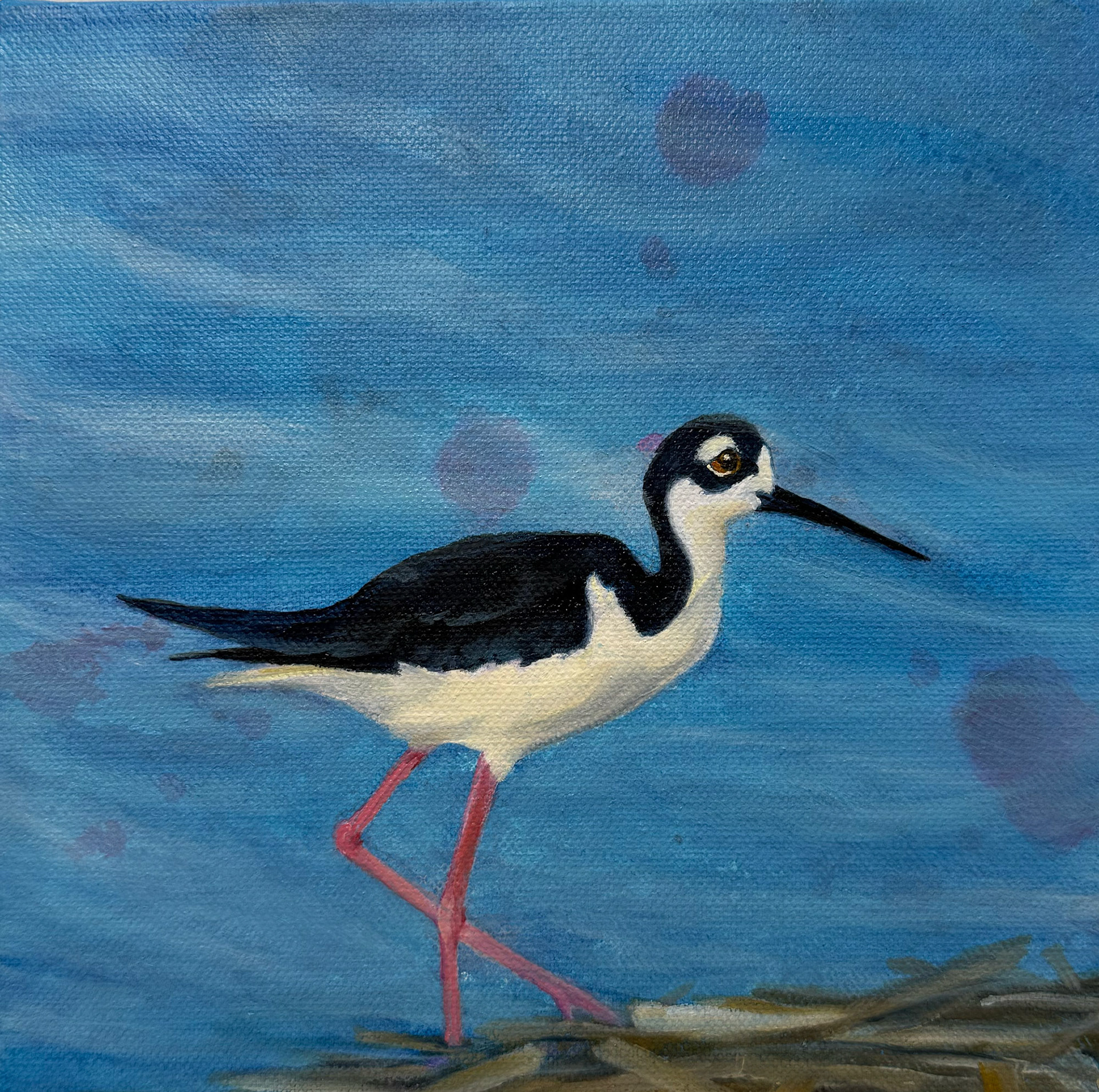Black Necked Stilts Trio1 -8x8 Wedge Canvas