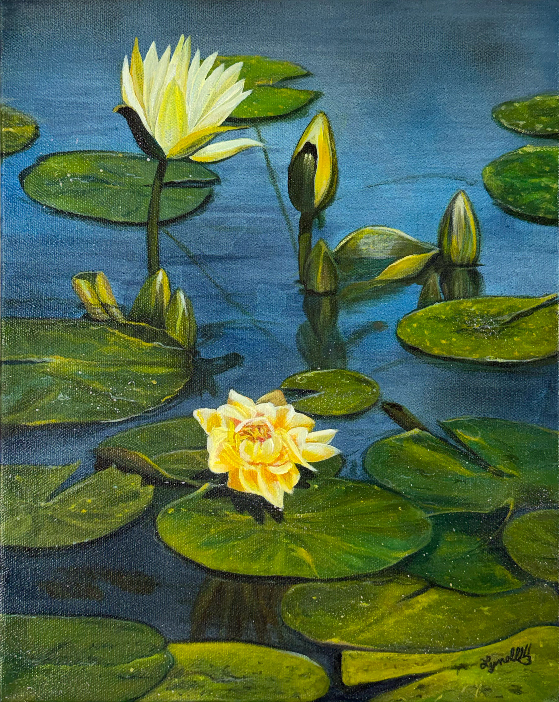 Water Lily 1 11x14 $154