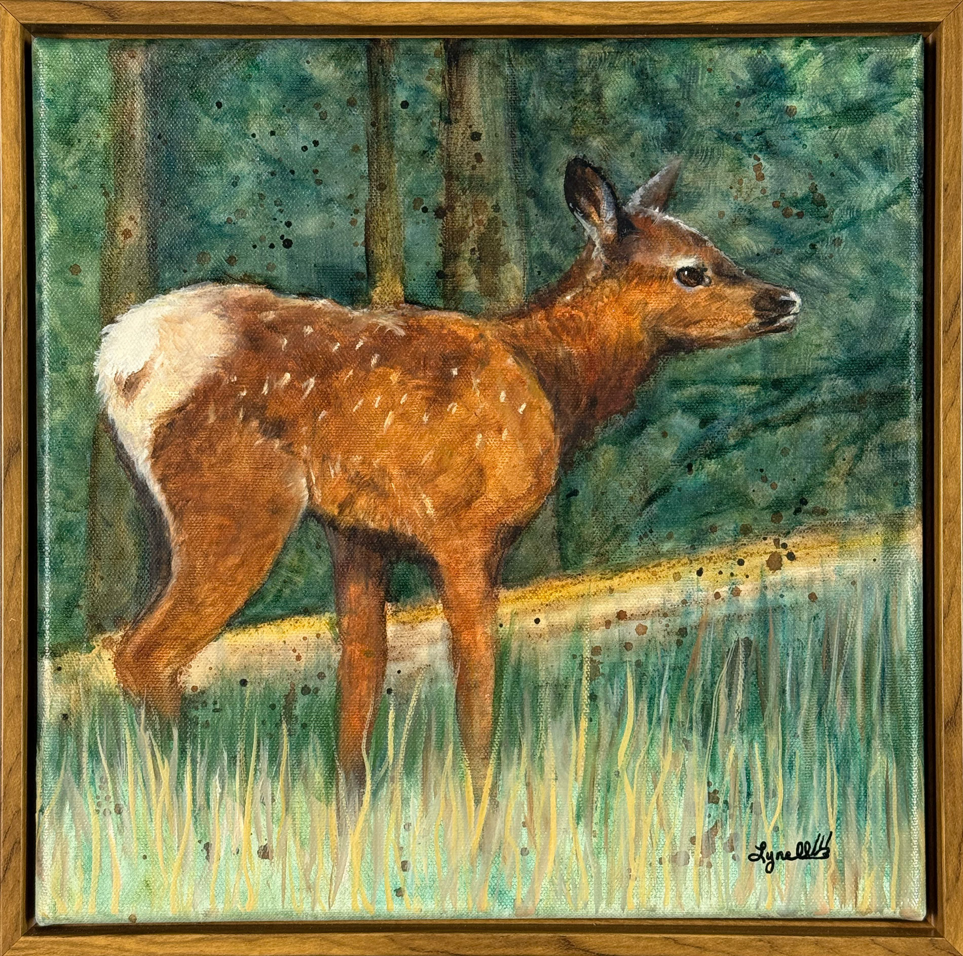 Baby Wild Elk 12x12 $144