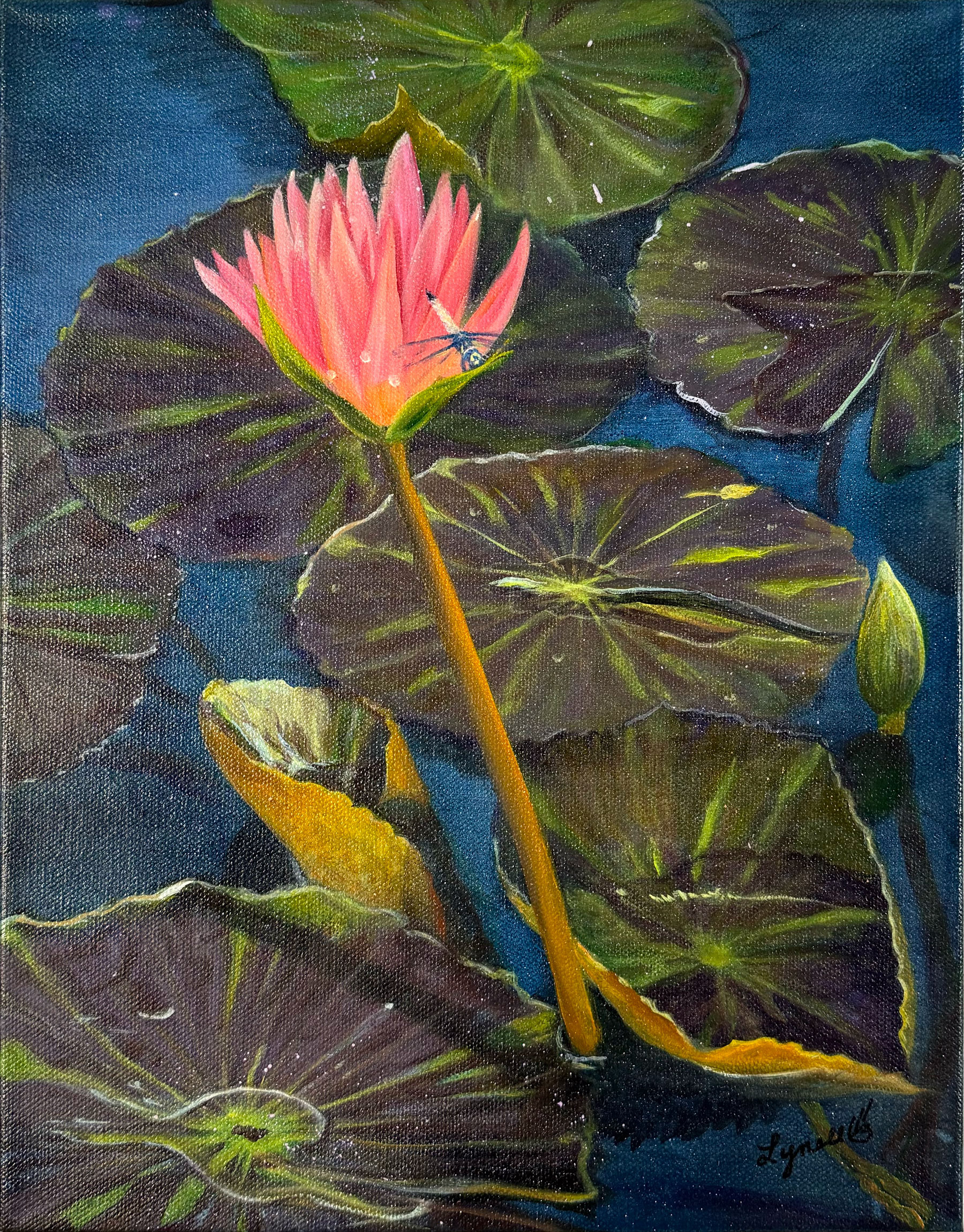 Water Lily 2  11x14