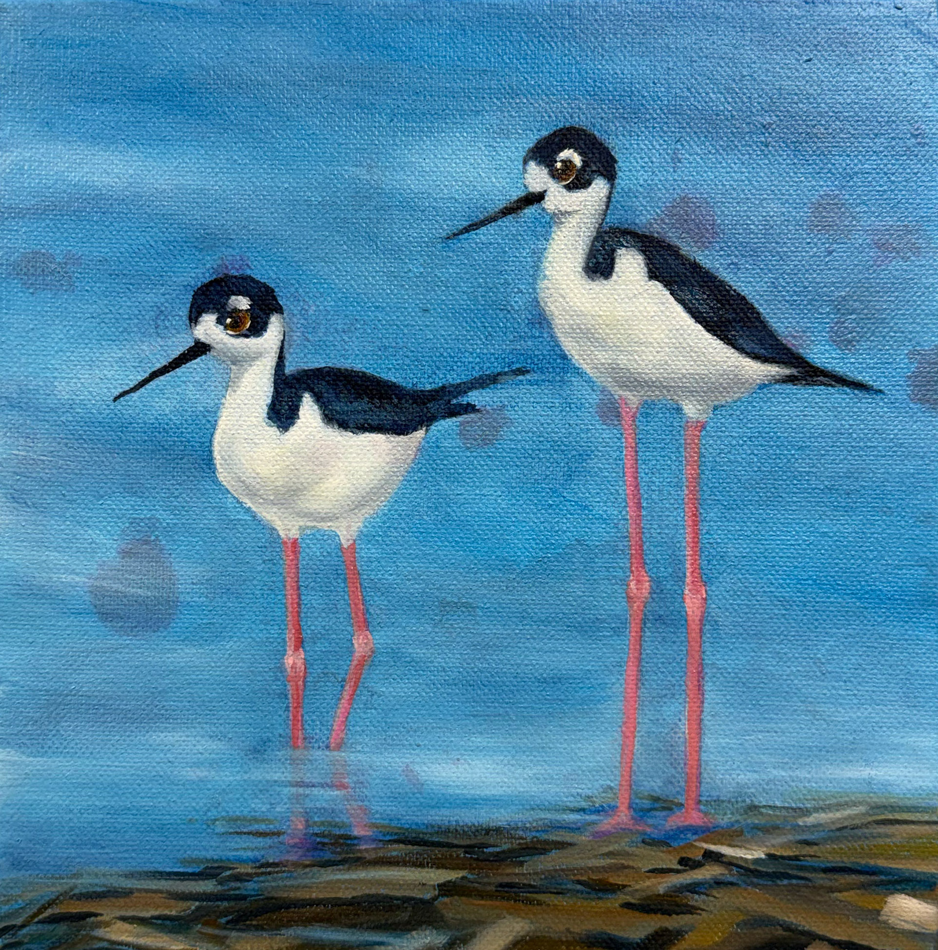 Black Necked Stilts Trio2 -8x8 Wedge Canvas