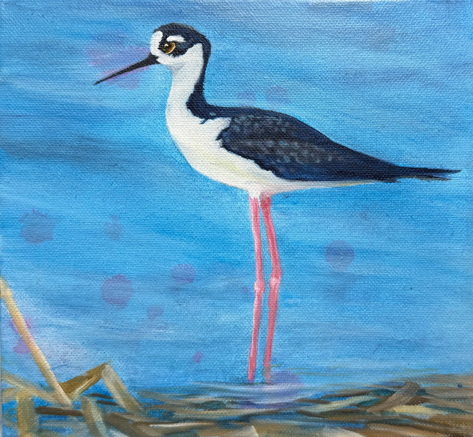 Black Necked Stilts Trio3 -8x8 Wedge Canvas