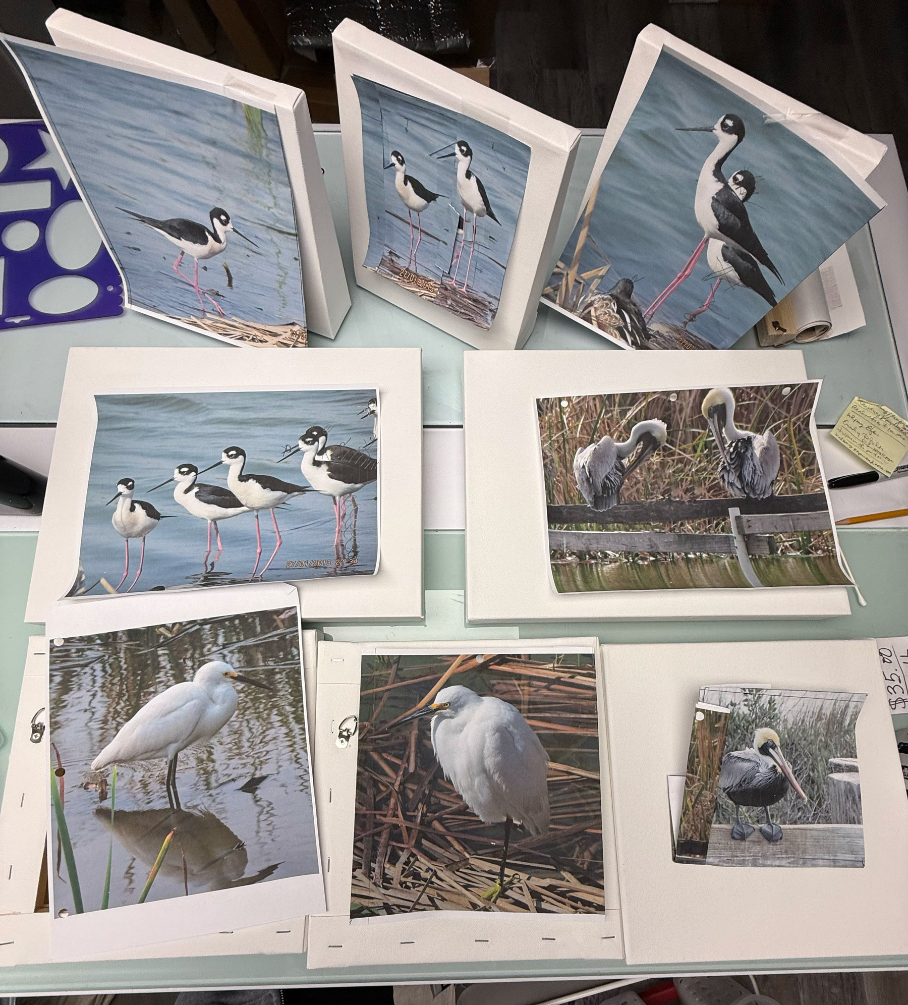 8 pictures in one week start with Elizabeth W photos