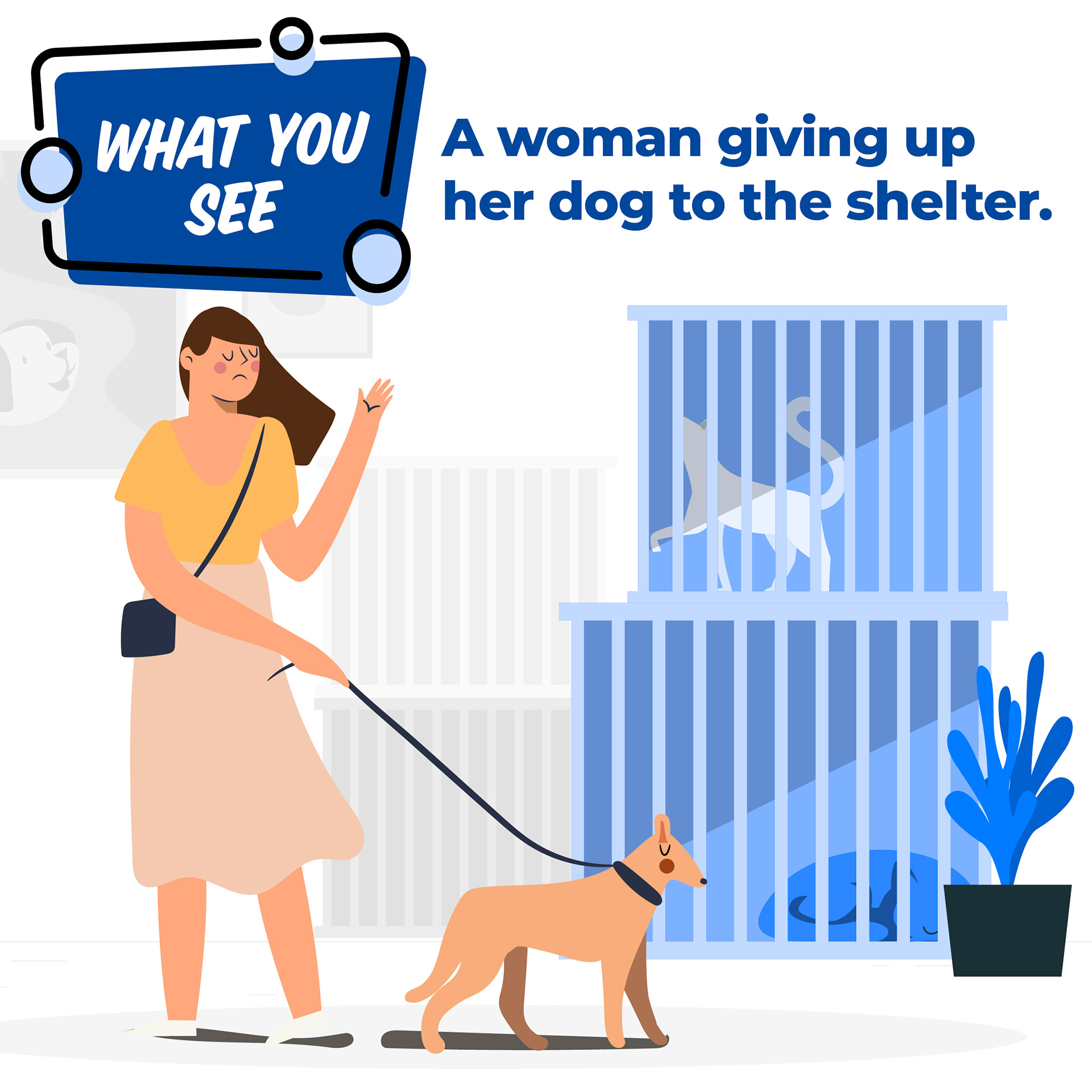 Pet проект. Pet Shelter.