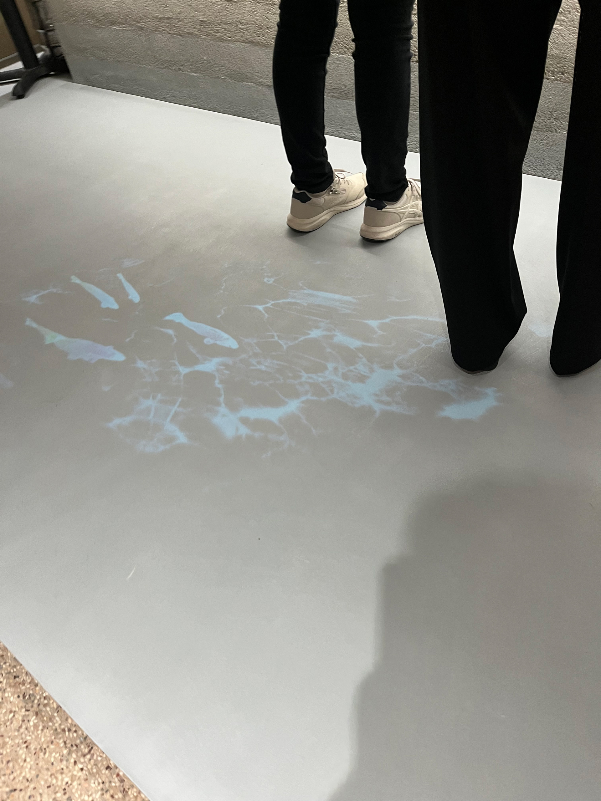 ゲーテハウス（左官）ショールーム