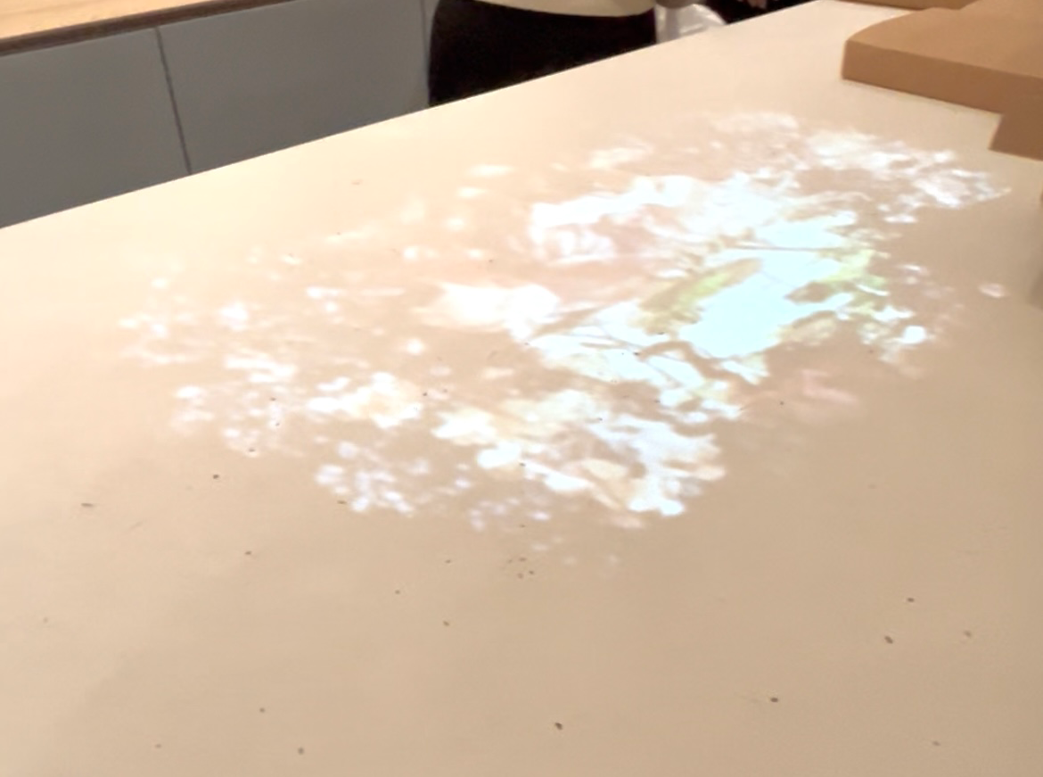 ゲーテハウス（左官）ショールーム