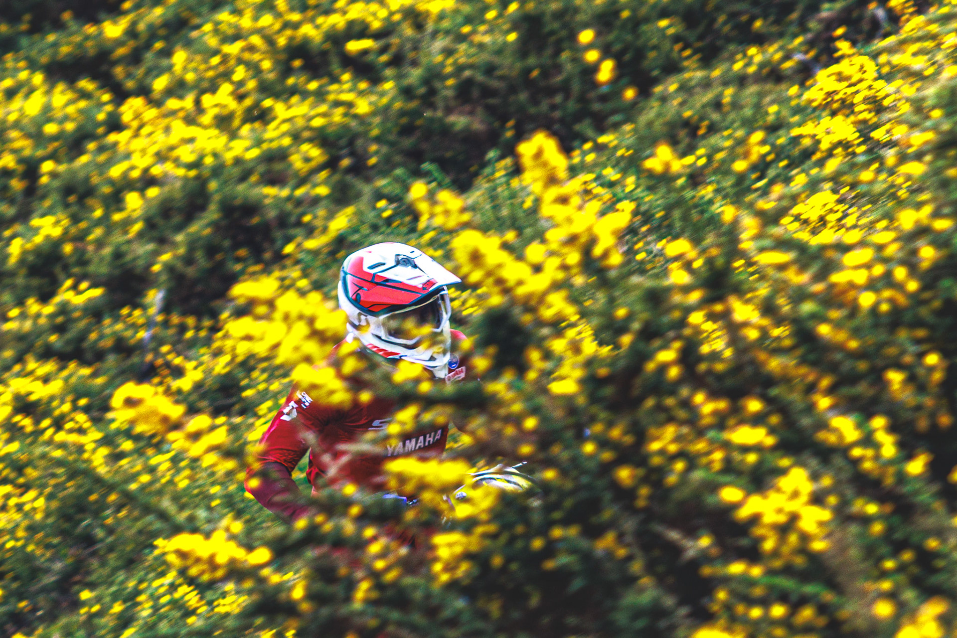 @ruialmeidaphoto Enduro / Motocross off-road