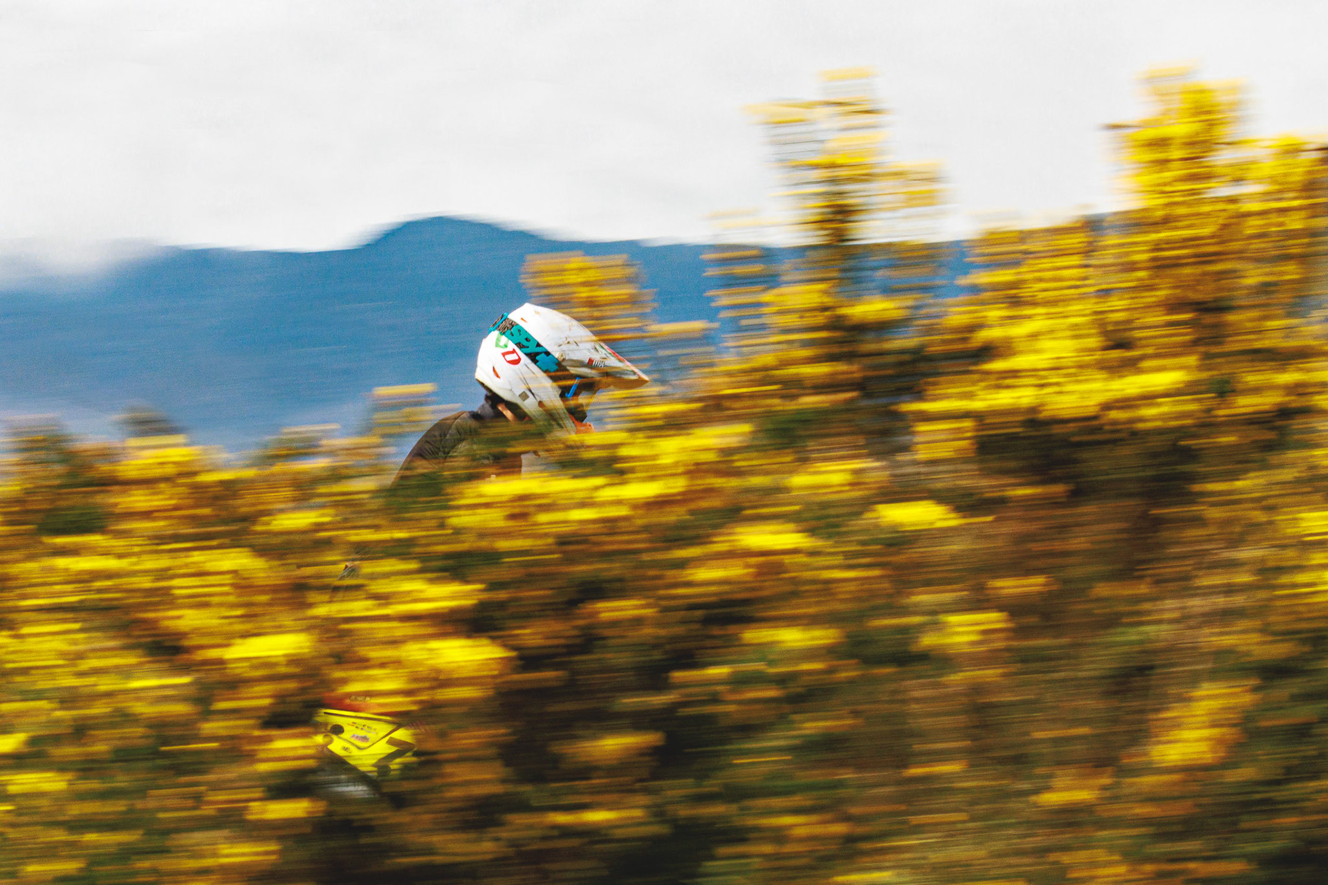 @ruialmeidaphoto Enduro / Motocross off-road