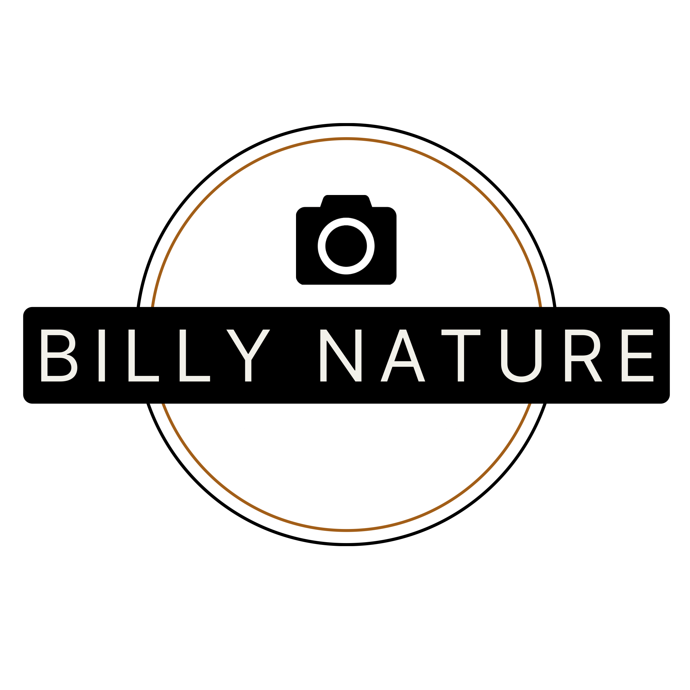 Billy Desjardins