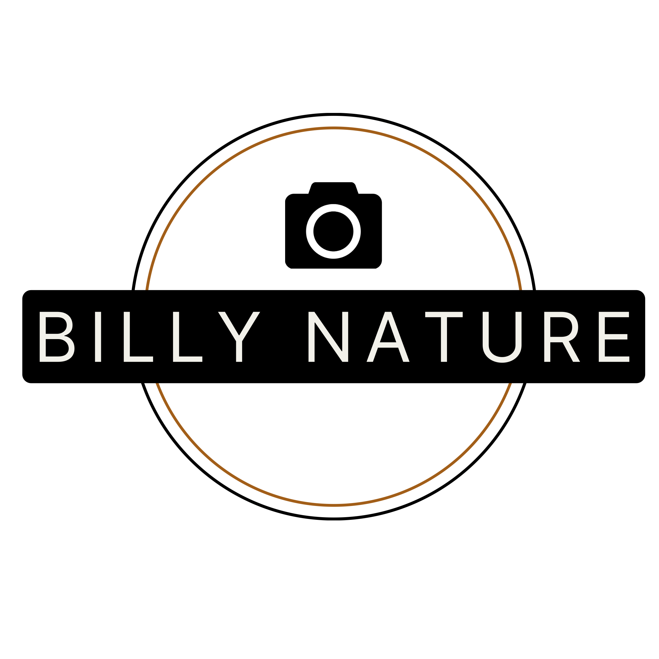 Billy Desjardins