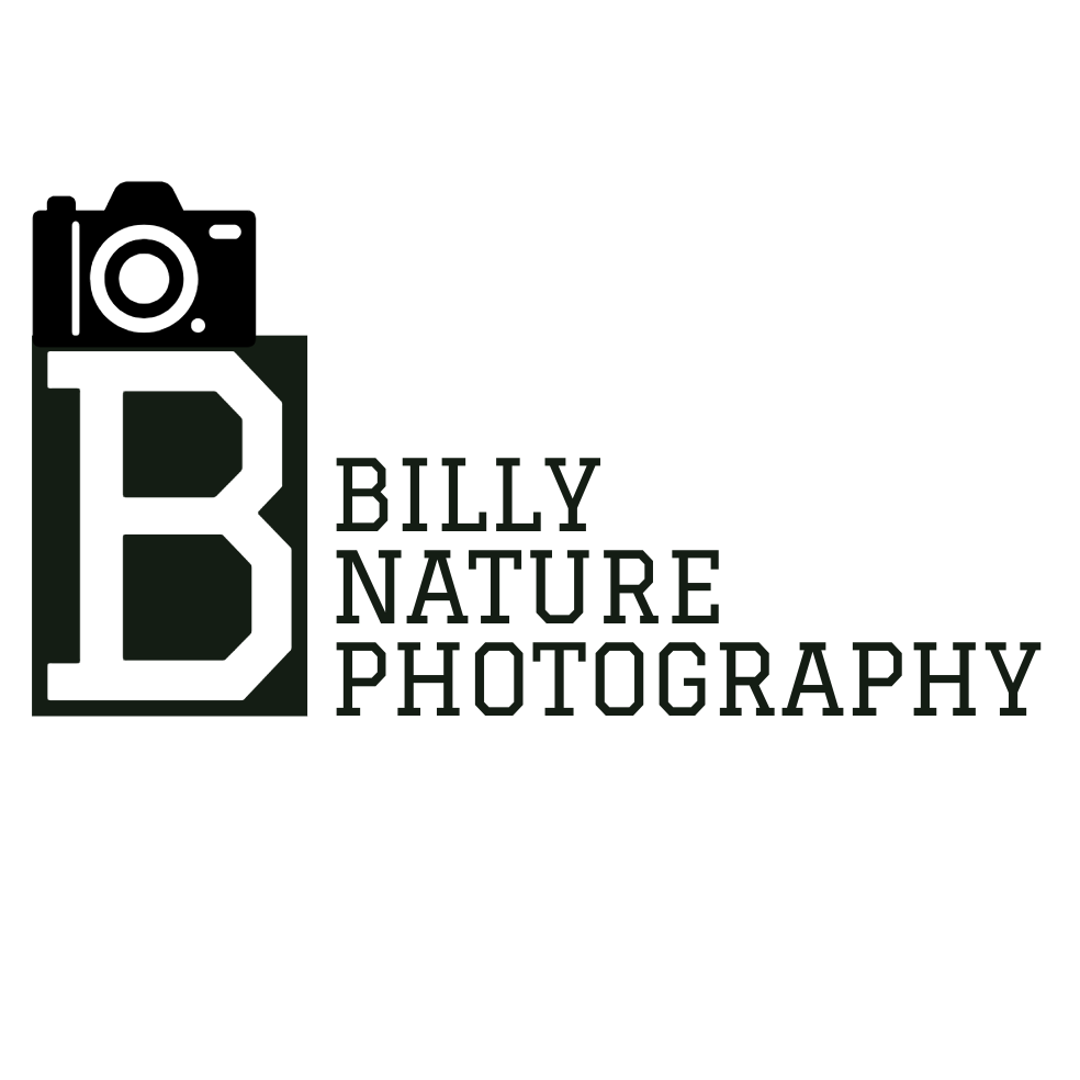 Billy Desjardins