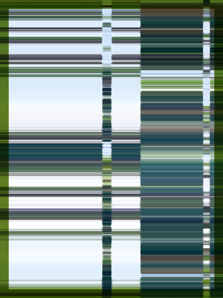 Fir Tree