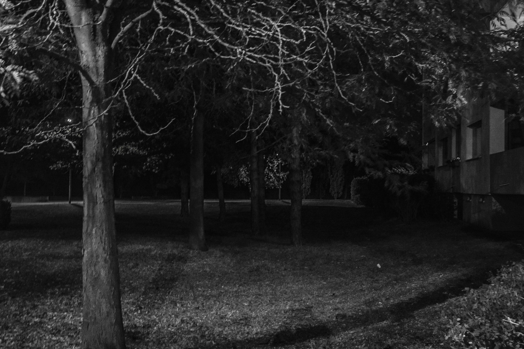 Trees
