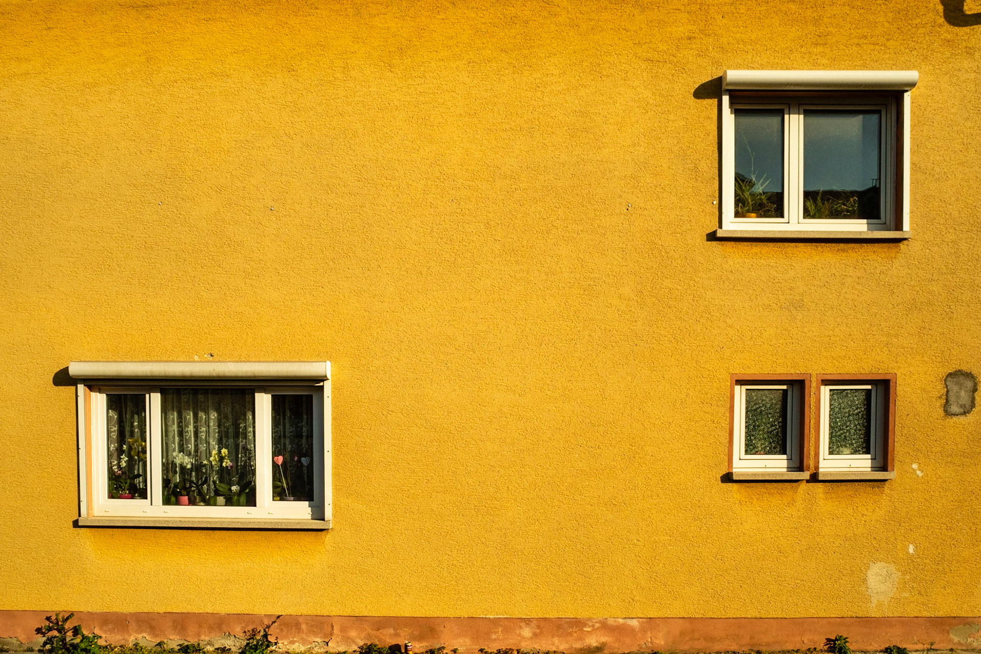 Windows